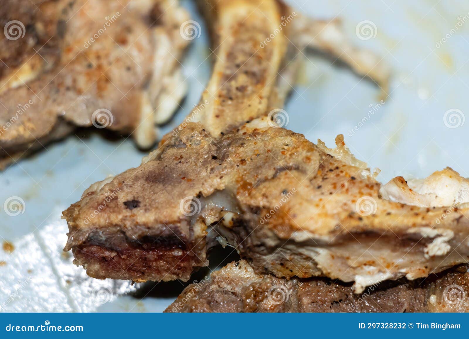 Pork Chop Bones after Eating Stock Photo Image of pork, meat 297328232