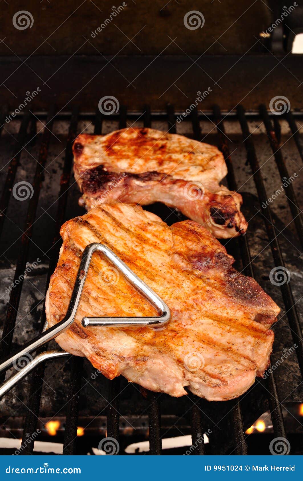 A Pork Chop on the grill stock photo. Image of cooking 9951024