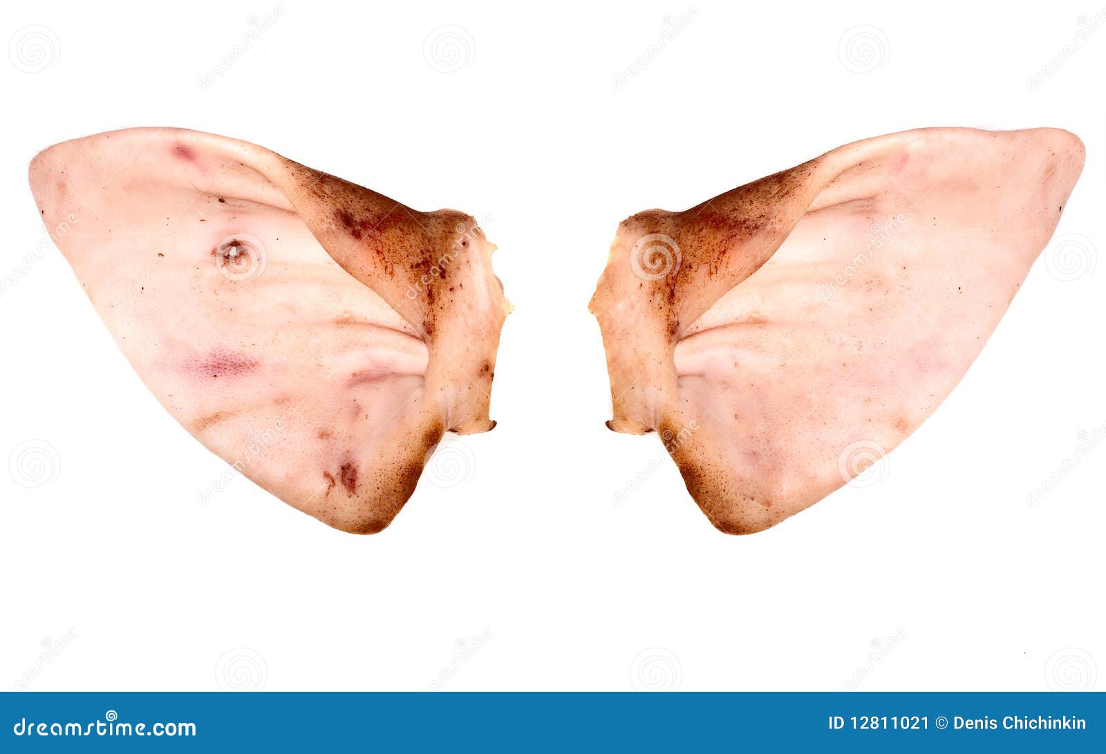 Pork ears stock image. Image of ugliness, background 12811021