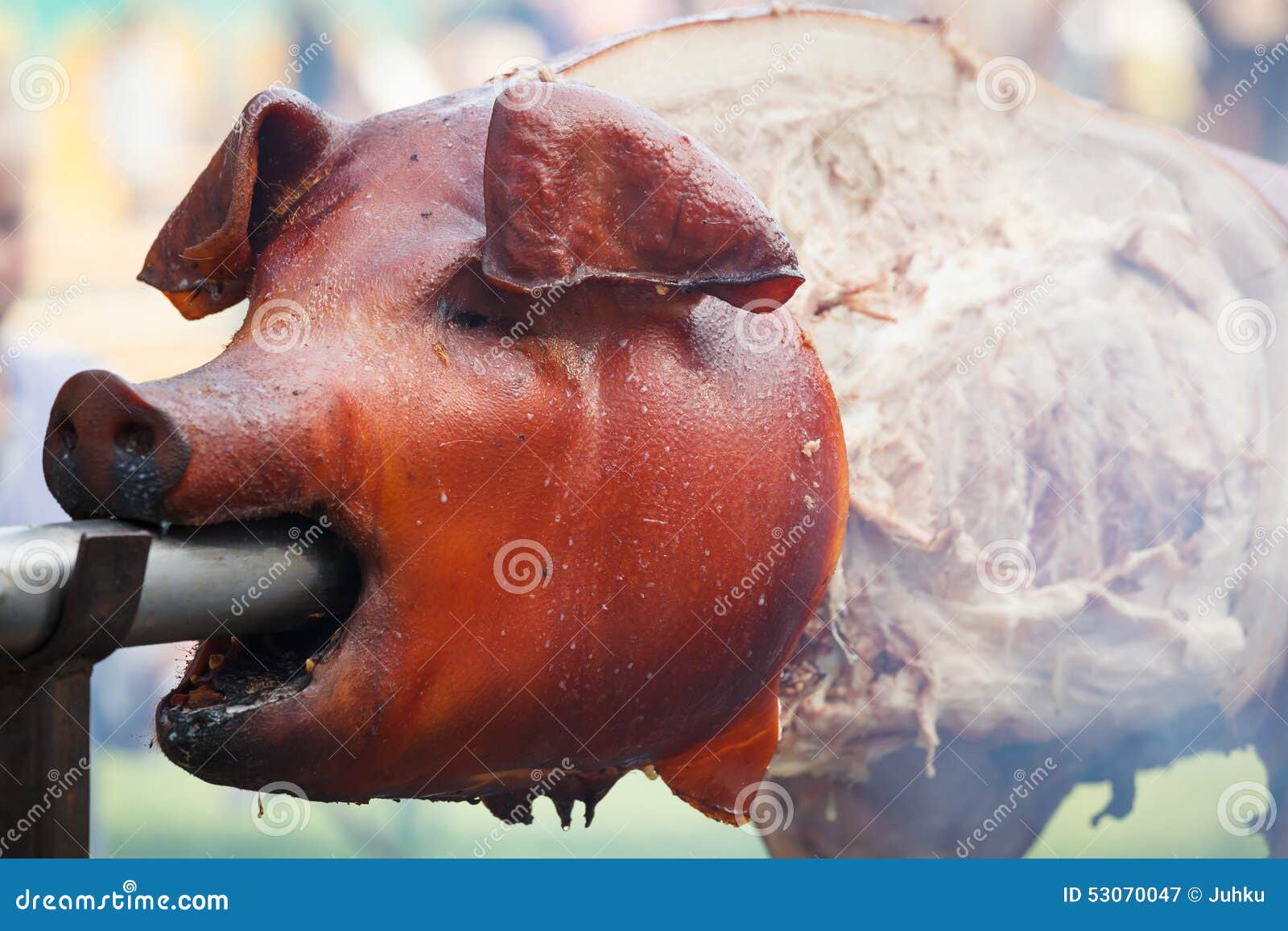Pork Meat Grilled in Open Fire Stock Image Image of dinner, piglet