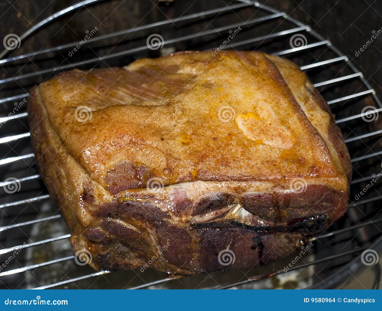 Pork Roast in Smoker stock photo. Image of cooking, seasoned 9580964