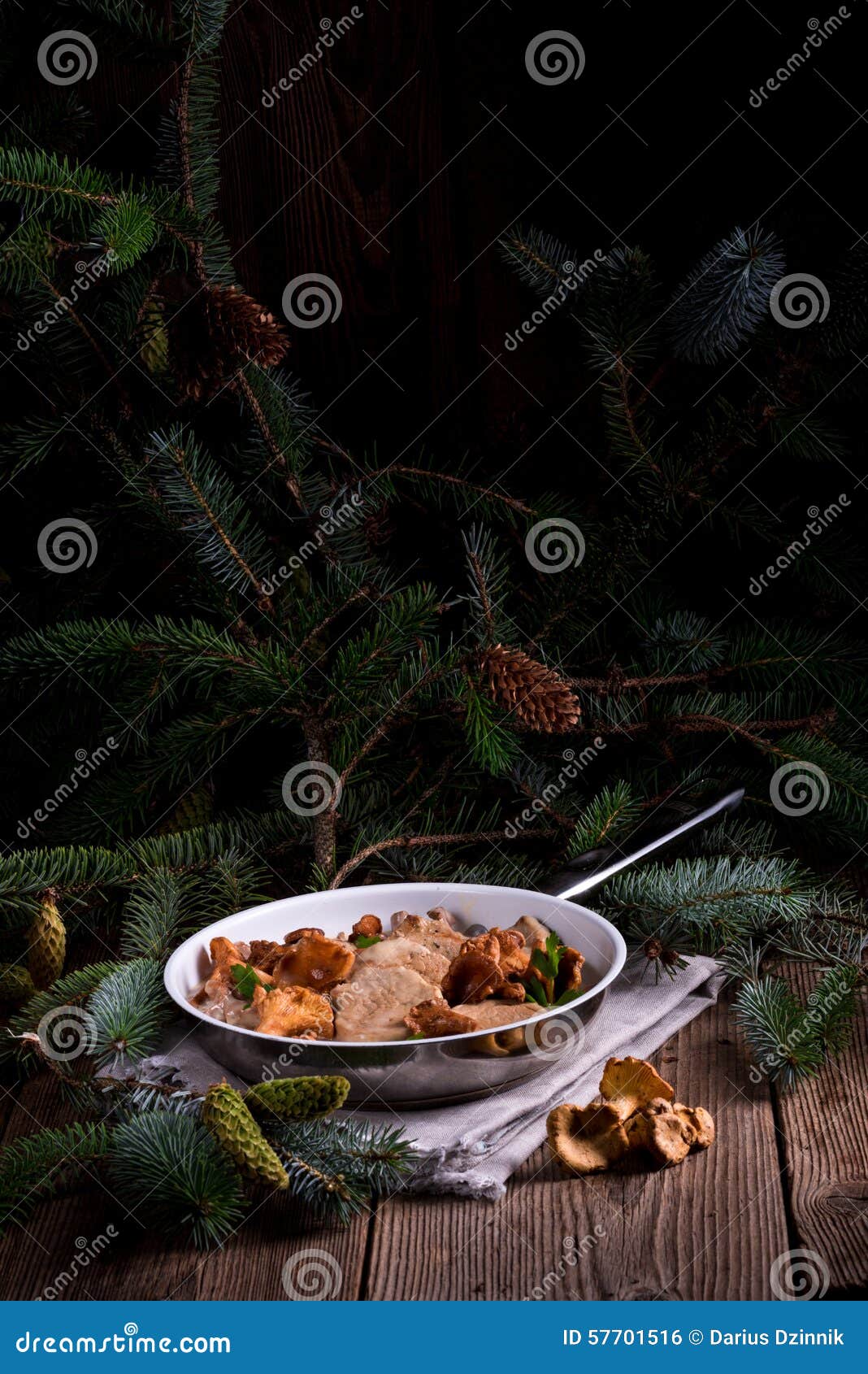 Pork Tenderloin with Chanterelle Sauce Stock Photo Image of fillet