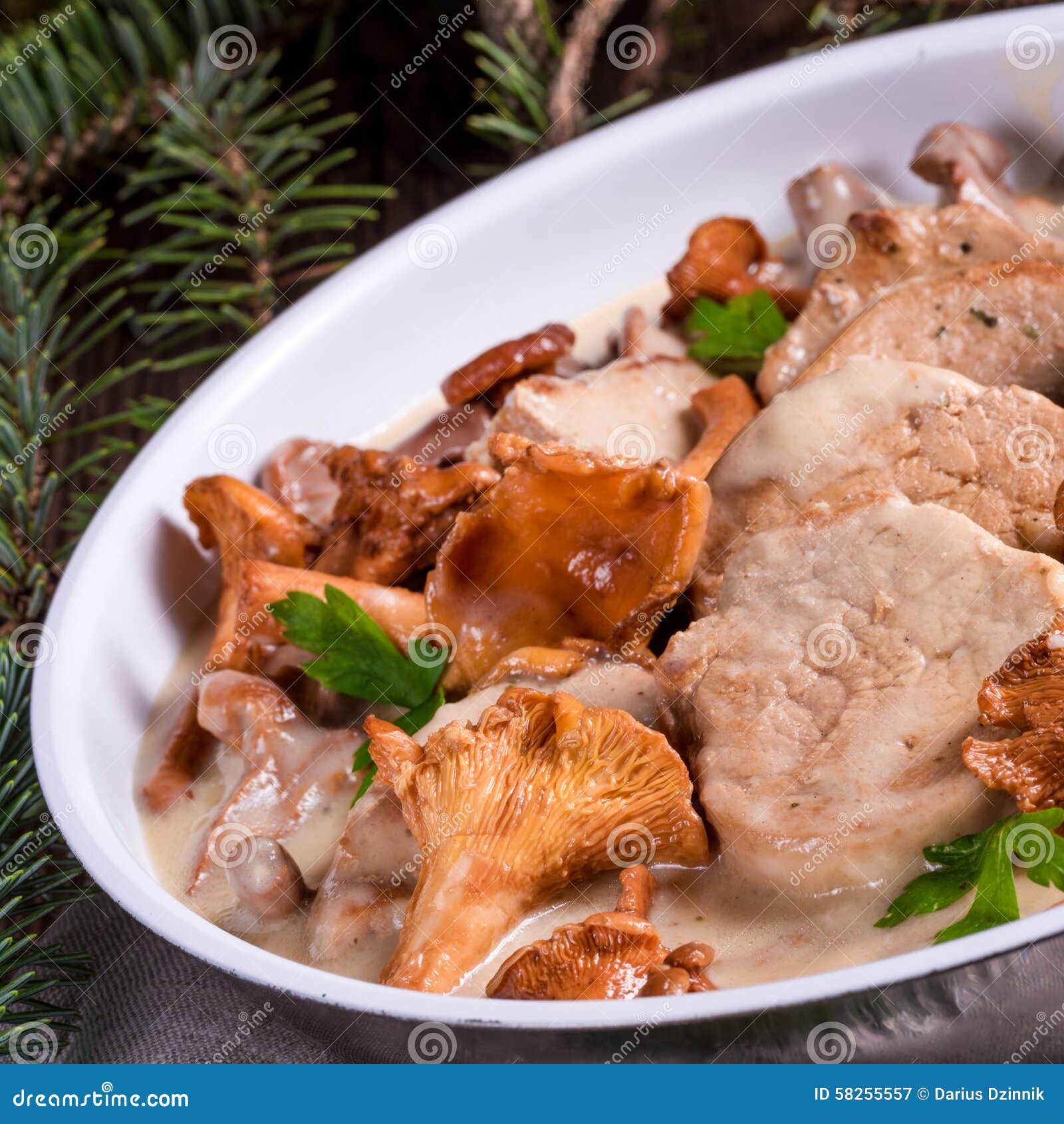Pork Tenderloin with Chanterelle Sauce Stock Image Image of caveman