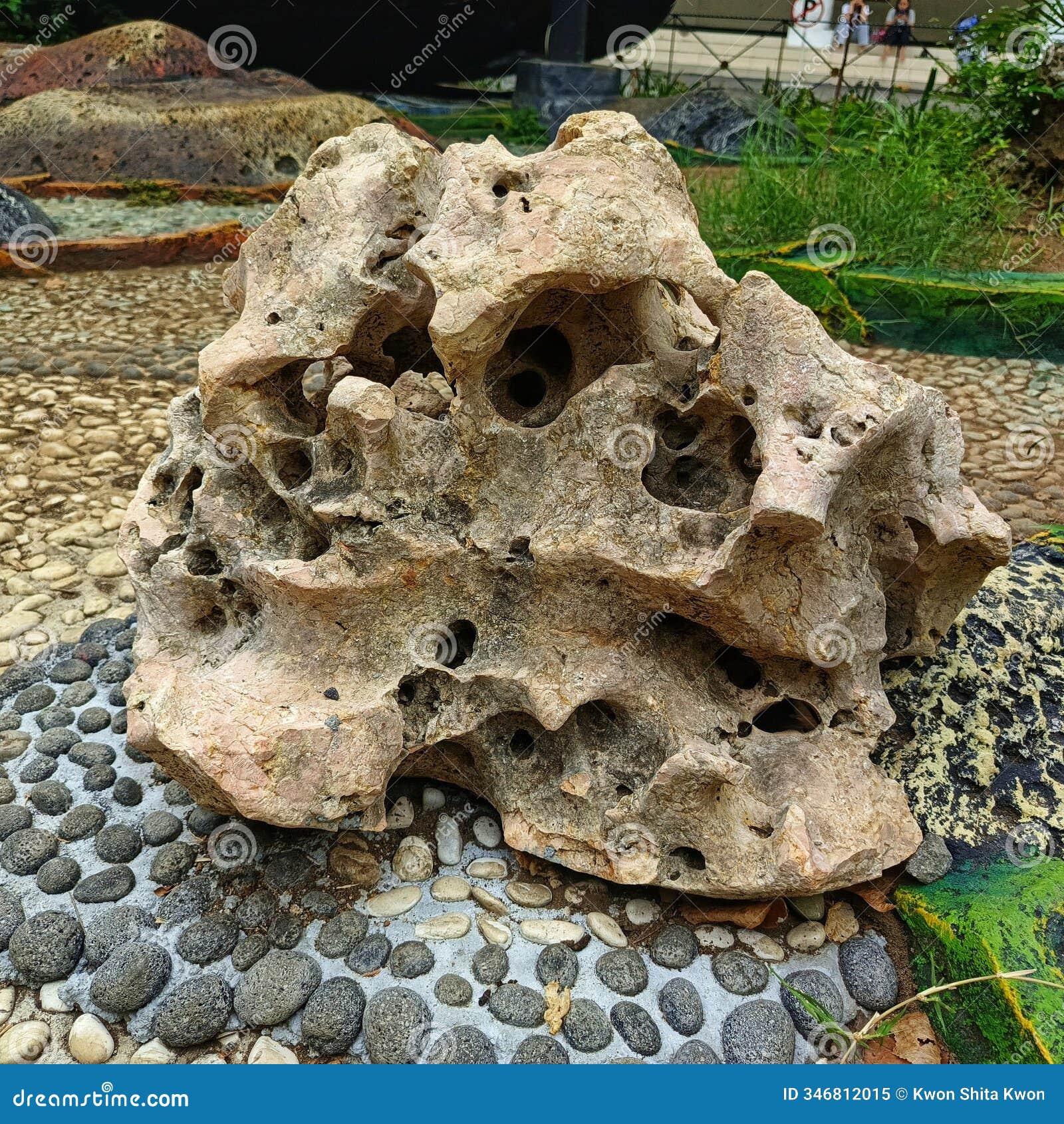 a porous, weathered rock with a unique, irregular , surrounded by small pebbles.