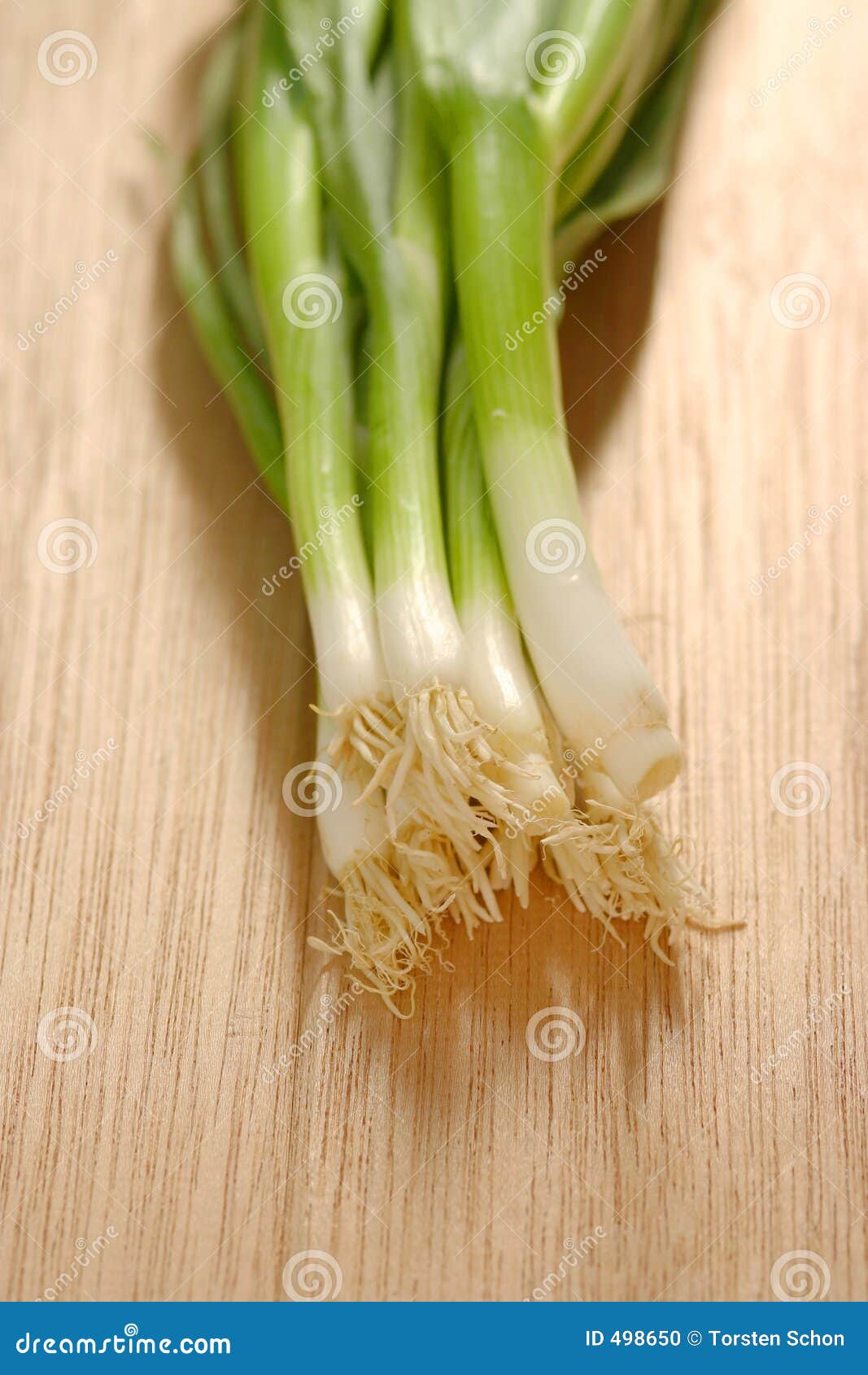 Porro fotografia stock. Immagine di closeup, insalata, sano - 498650
