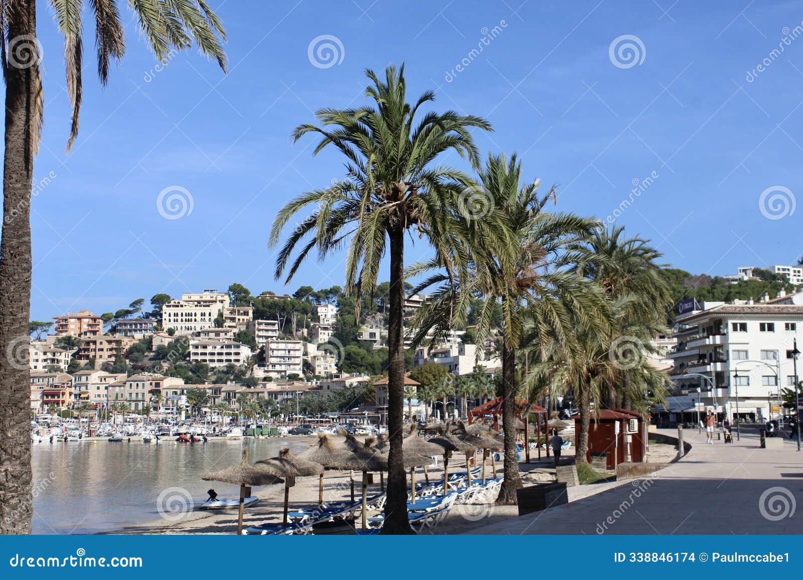 port de soller mallorca spain promenad beach marina and palm trees