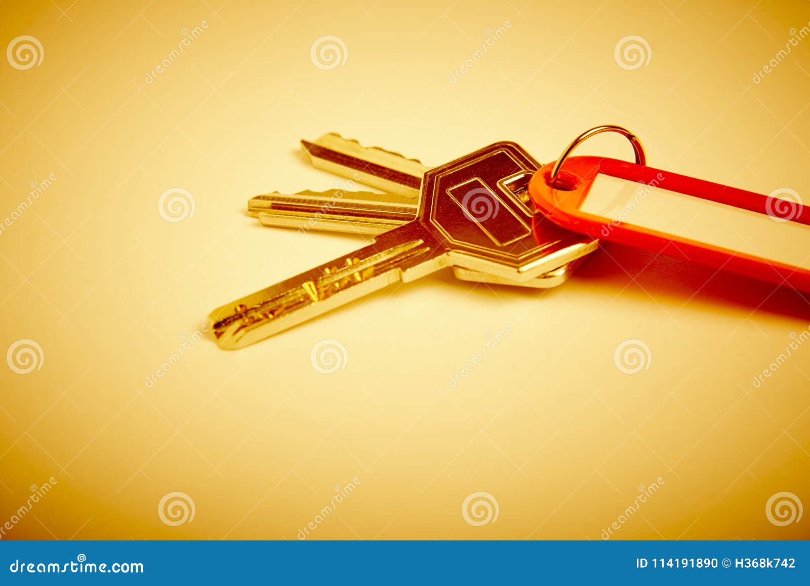 Porta-chaves com chaves no tom dourado Aluguel, compra HOME
