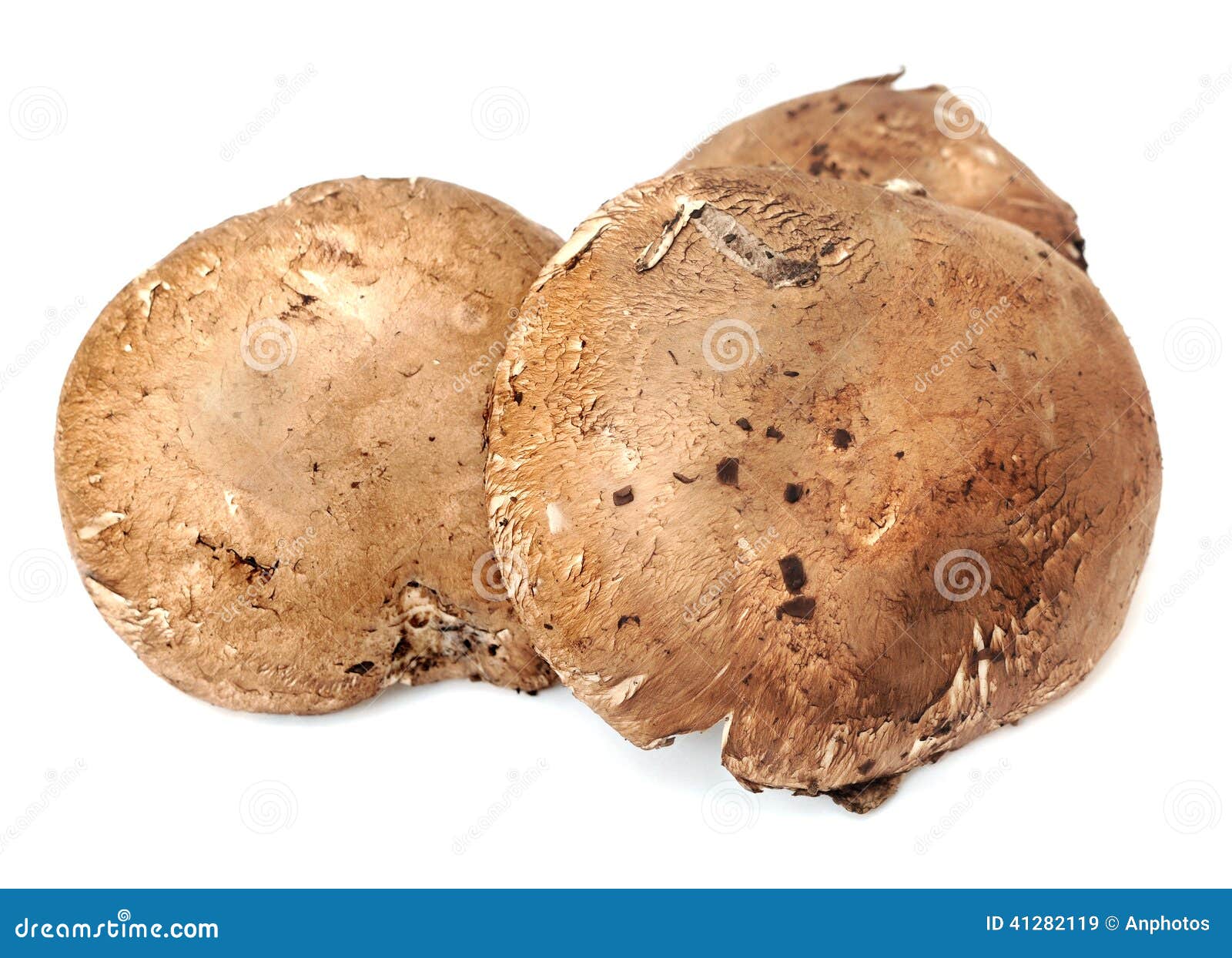 Portabella mushroom stock image. Image of vegetable, cutting 41282119