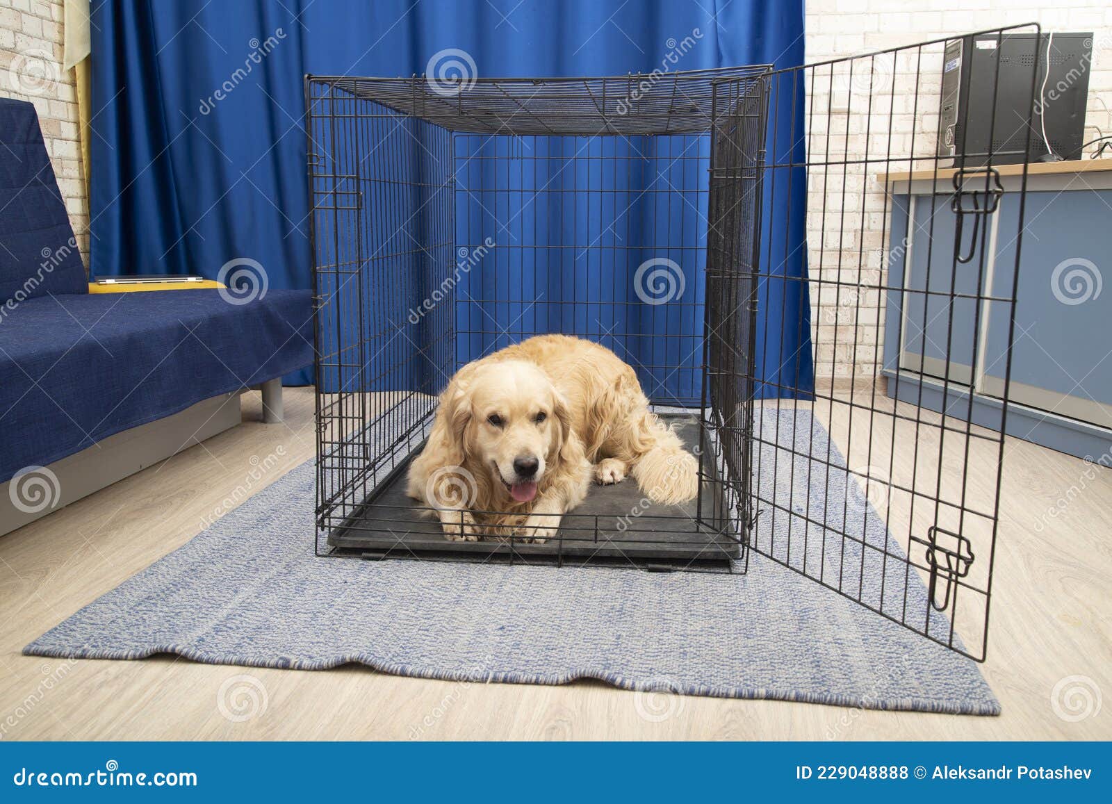 Portable Cage for Medium and Largesized Dogs Stock Photo Image of