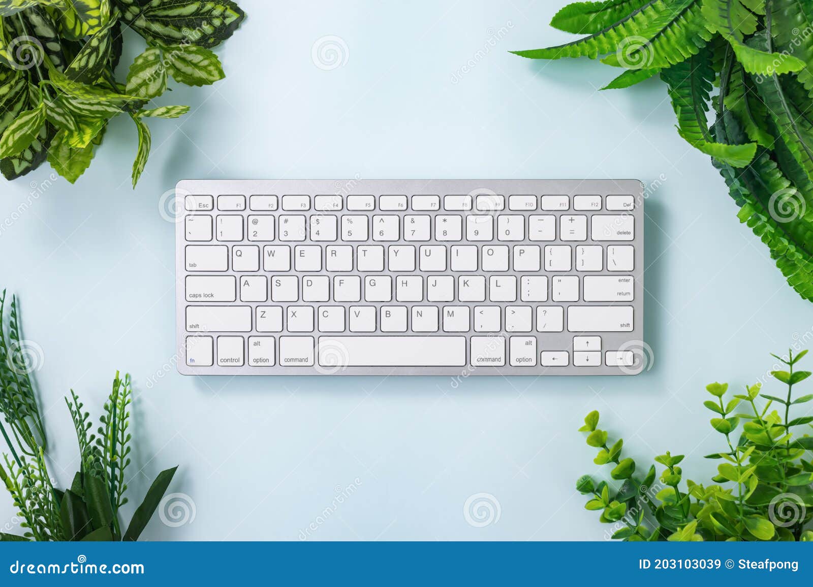 Portable Computer Keyboard and Tree or Plant at Corner Stock Image