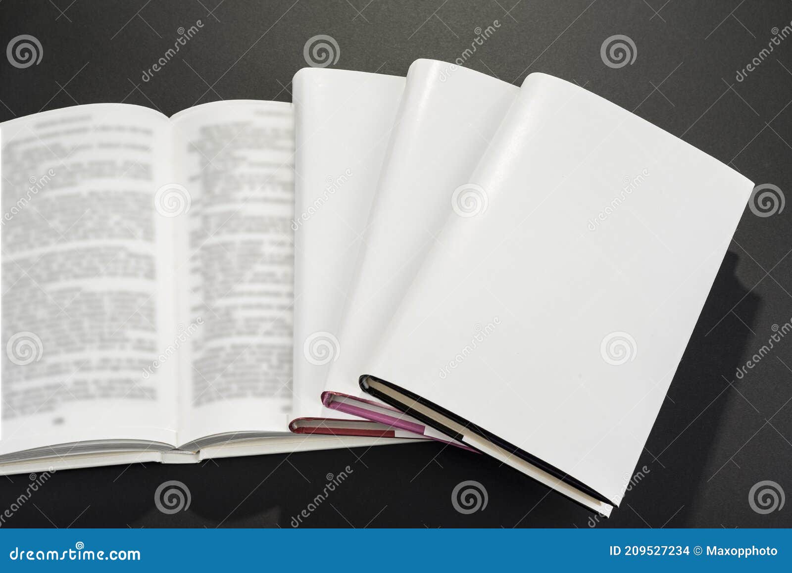 Portadas De Libros En Blanco Para Rellenar El Texto Foto de archivo -  Imagen de mofa, muestra: 209527234