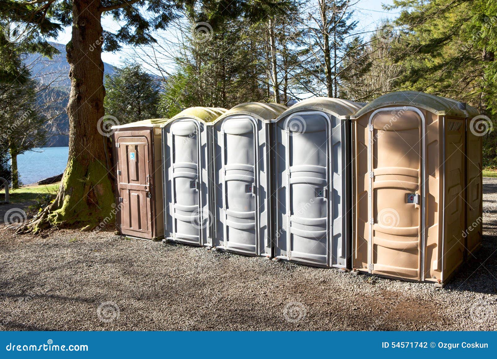 portapotty in a park yard for public convenience