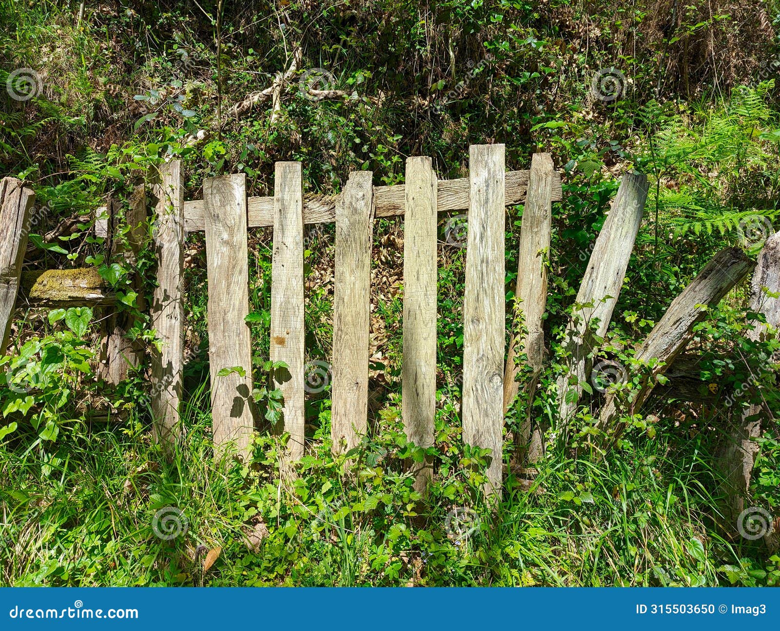 portilla, typical gate in the countryside in asturias, spain