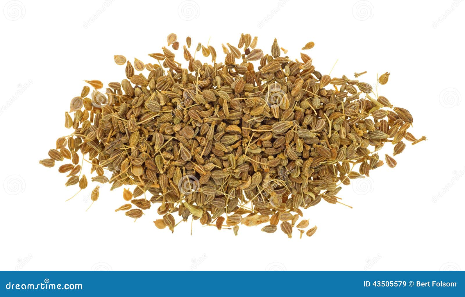 Portion of anise seeds stock image. Image of flavoring 43505579