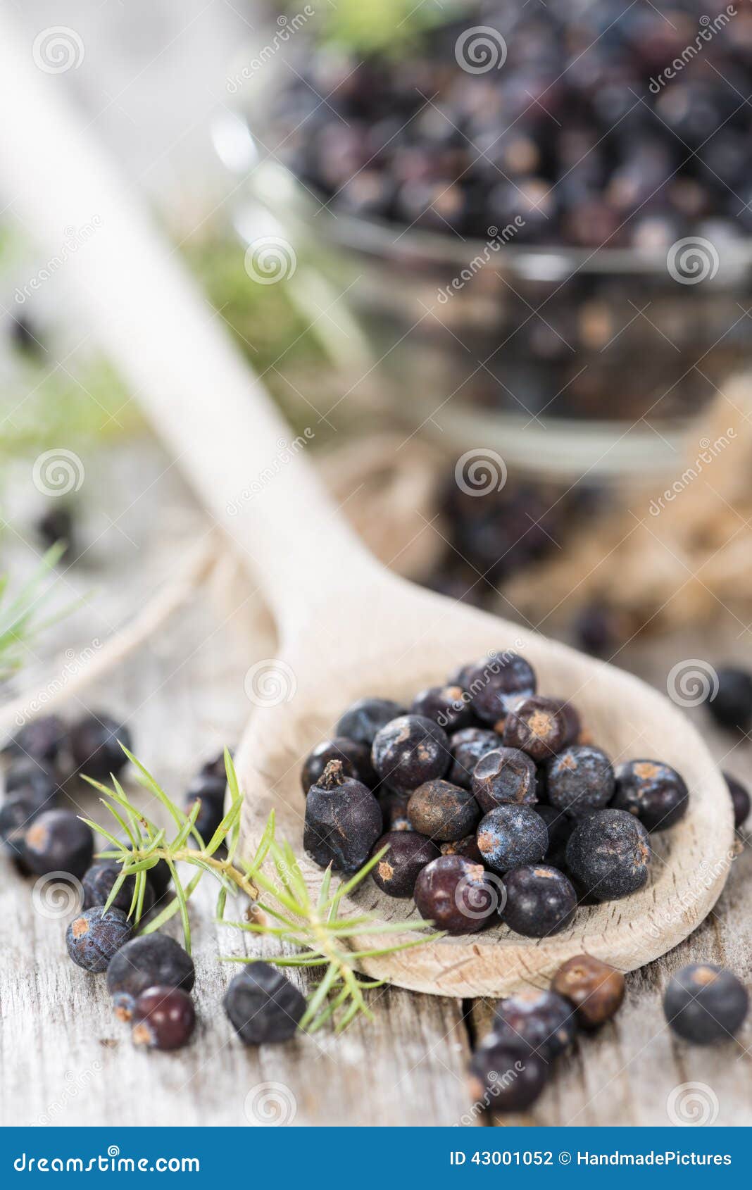 Portion of Dried Juniper Berries Stock Photo Image of ingredient