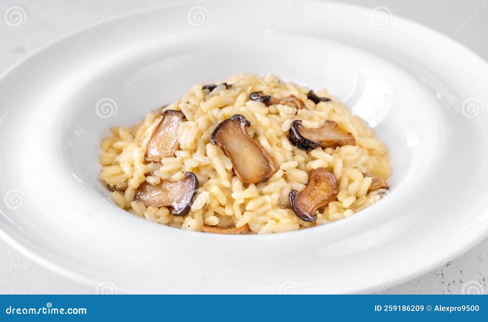 Portion Risotto with Mushrooms Stock Image Image of delicious