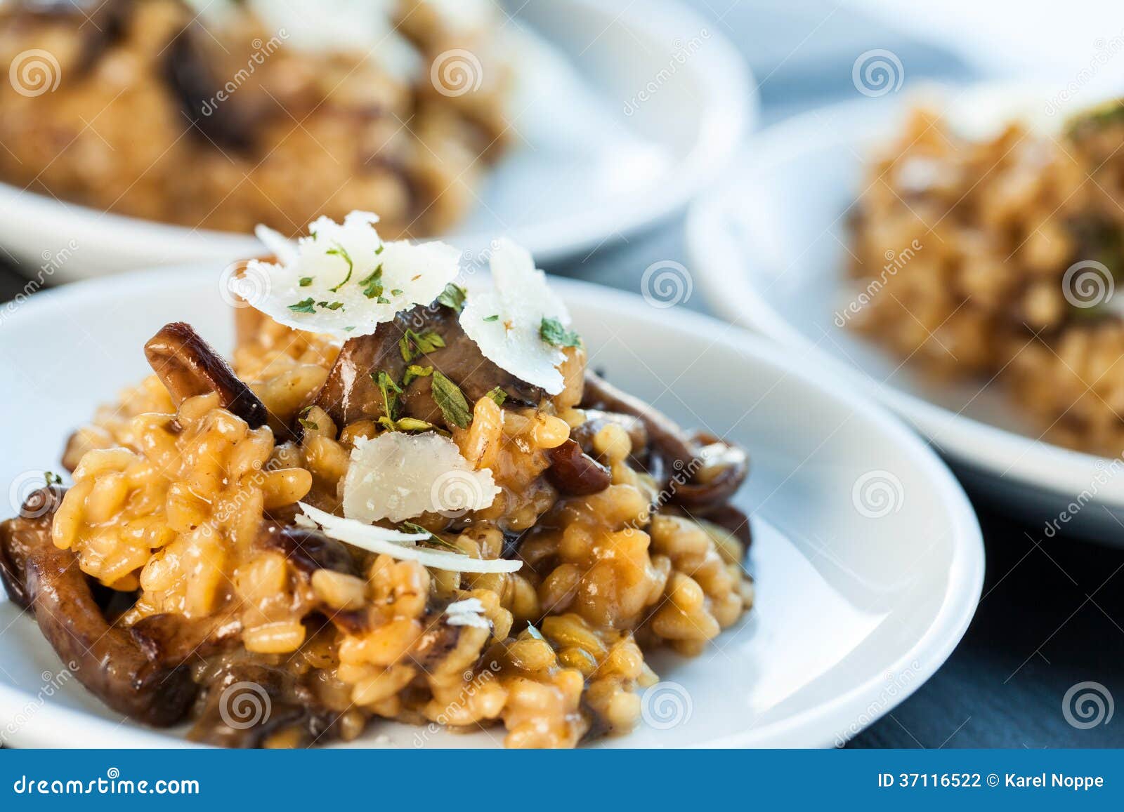 Portion of Risotto Rice with Fungi. Stock Photo Image of party