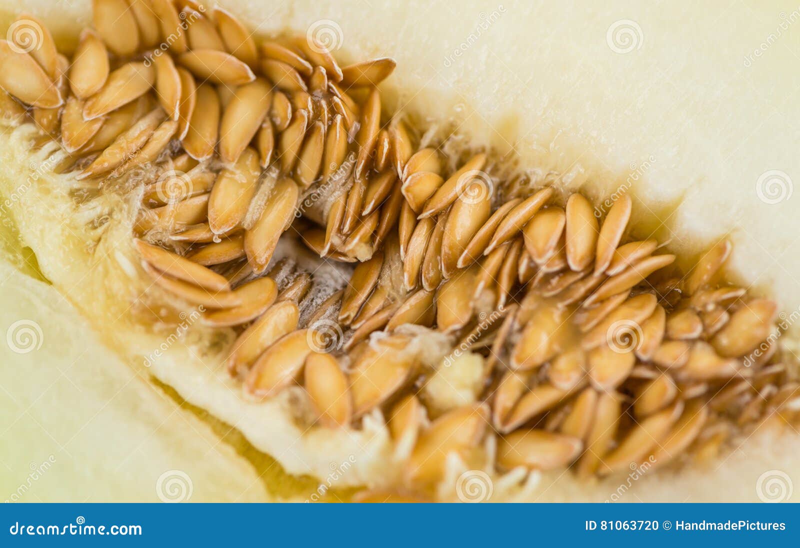 Portion of Yellow Honeydew Melon Selective Focus Stock Photo Image of natural, canteloupe
