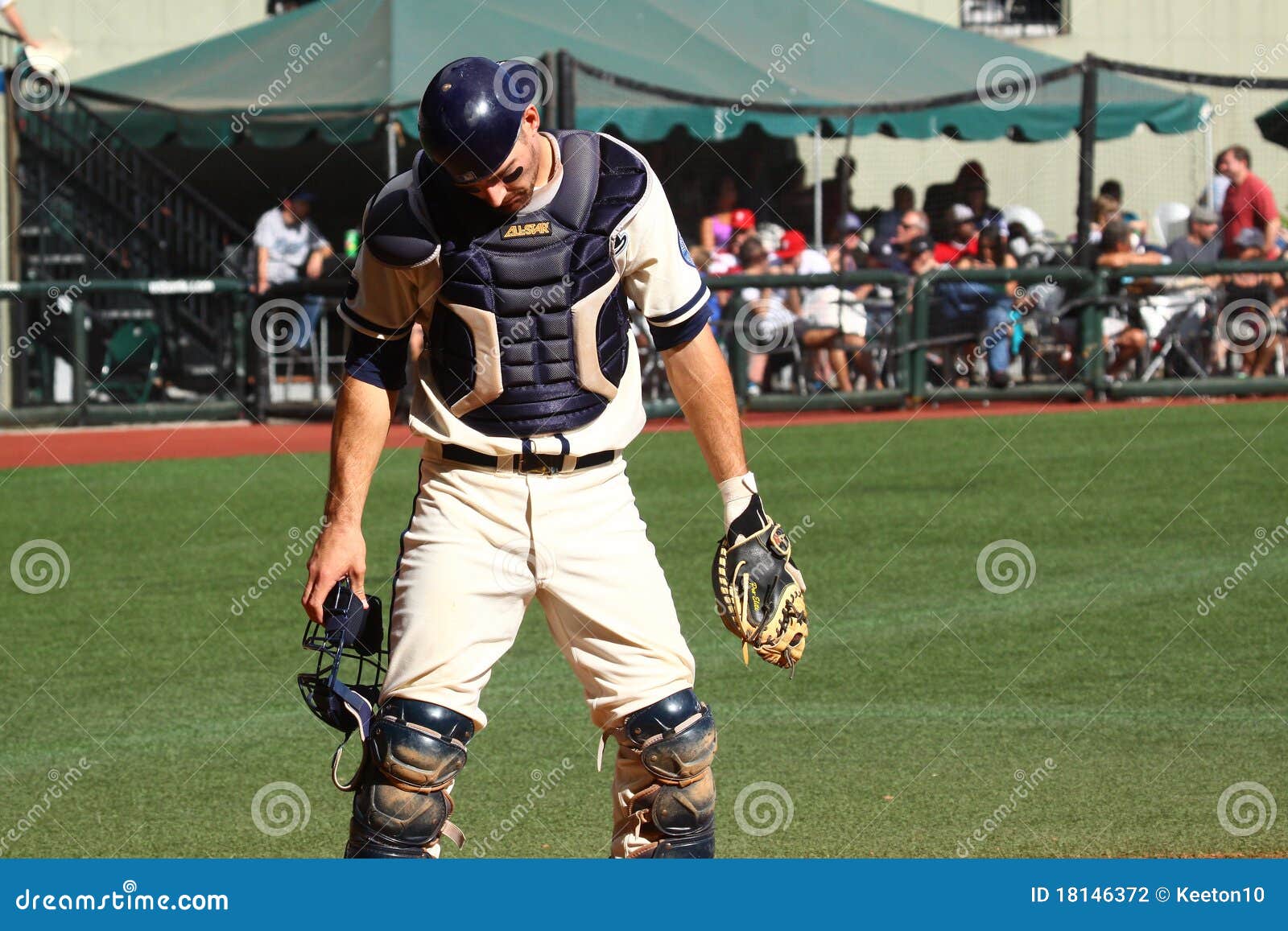 Portland Beavers 2010 editorial photography. Image of media 18146372