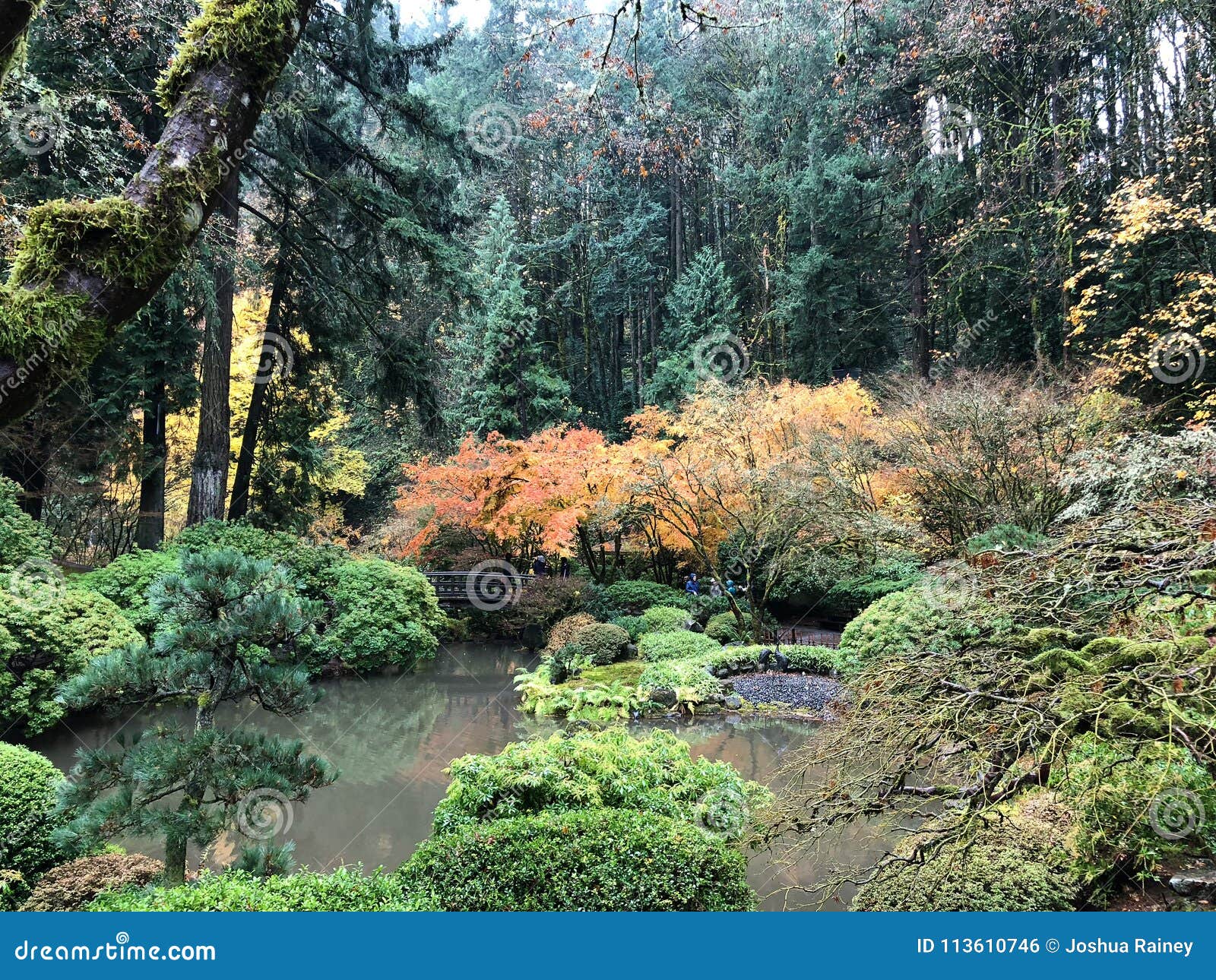 Japanese Garden Portland Oregon Editorial Photo Image Of Mobile