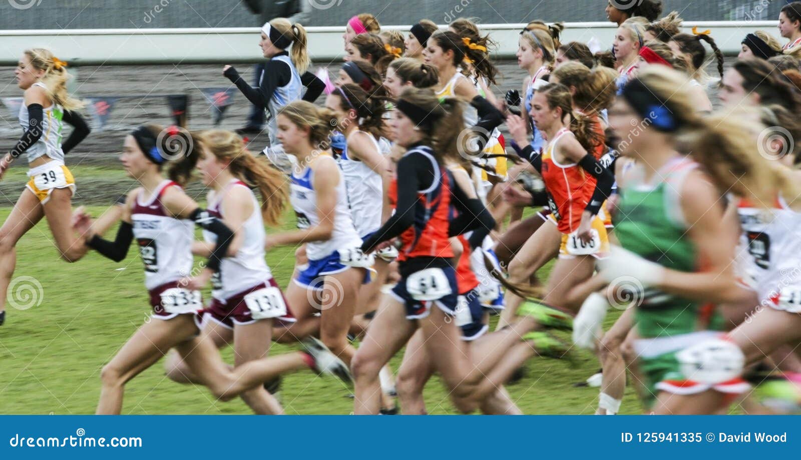 High School Girls Starting a Cross Country Race Editorial Image Image