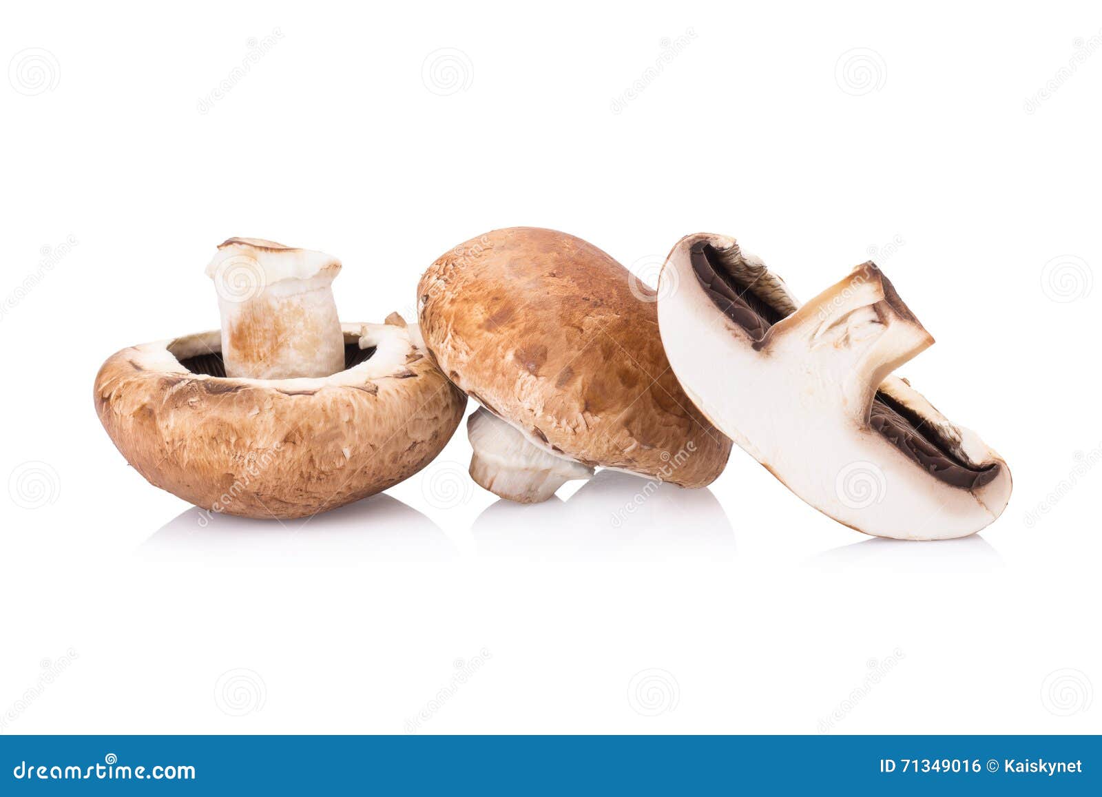Portobello Mushrooms on White Background Stock Photo Image of texture