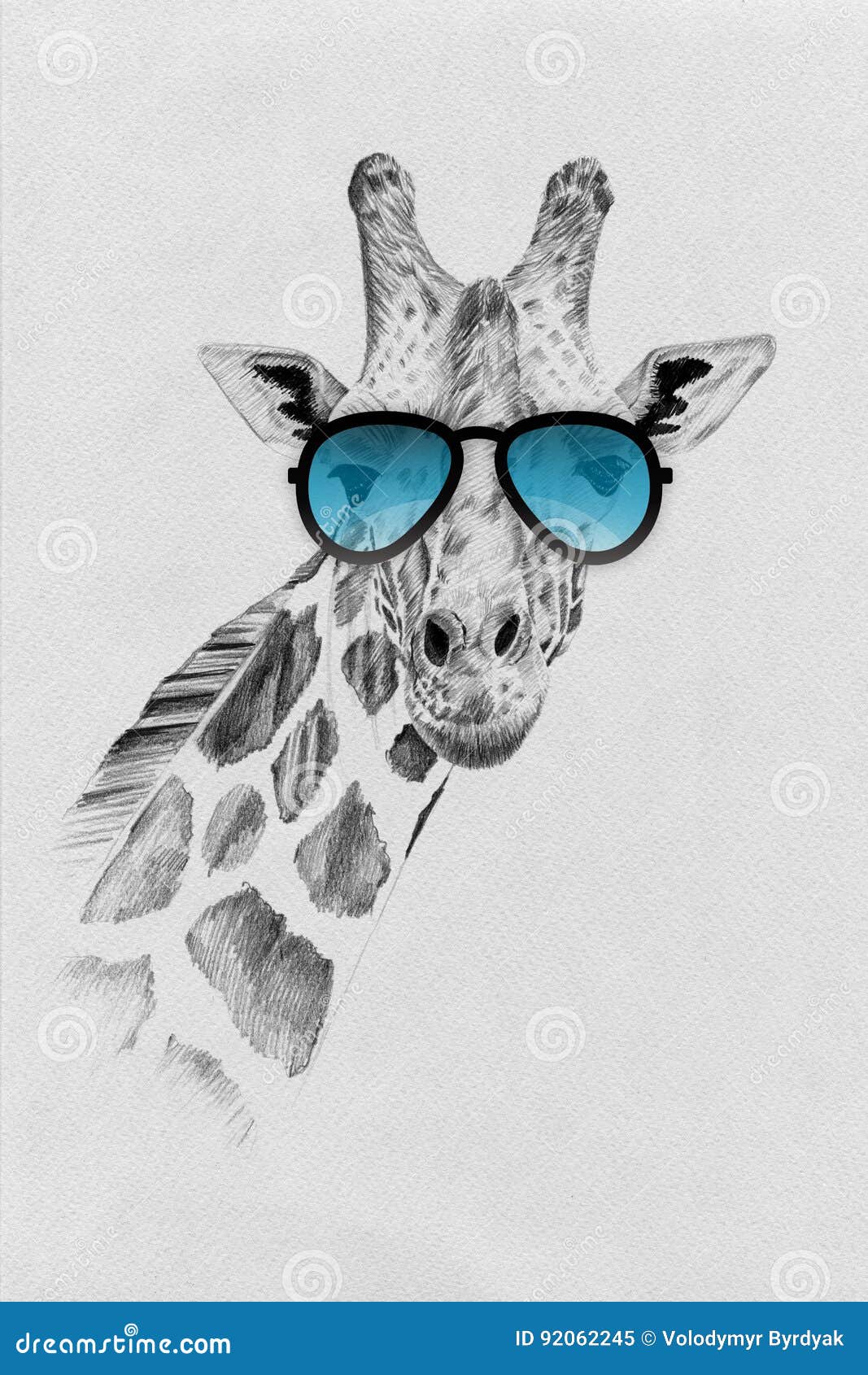 Portrat Der Giraffe Eigenhandig Gezeichnet In Bleistift In Der Sonnenbrille Stock Abbildung Illustration Von Giraffe Eigenhandig