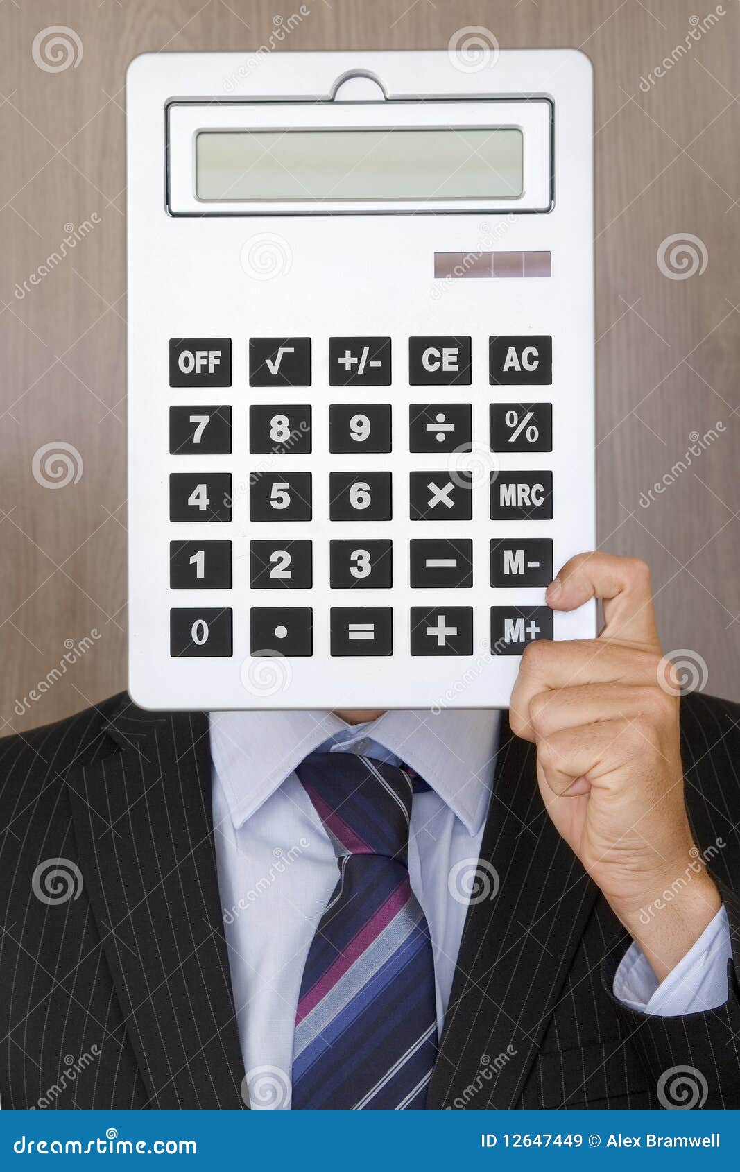 portrait of an accountant