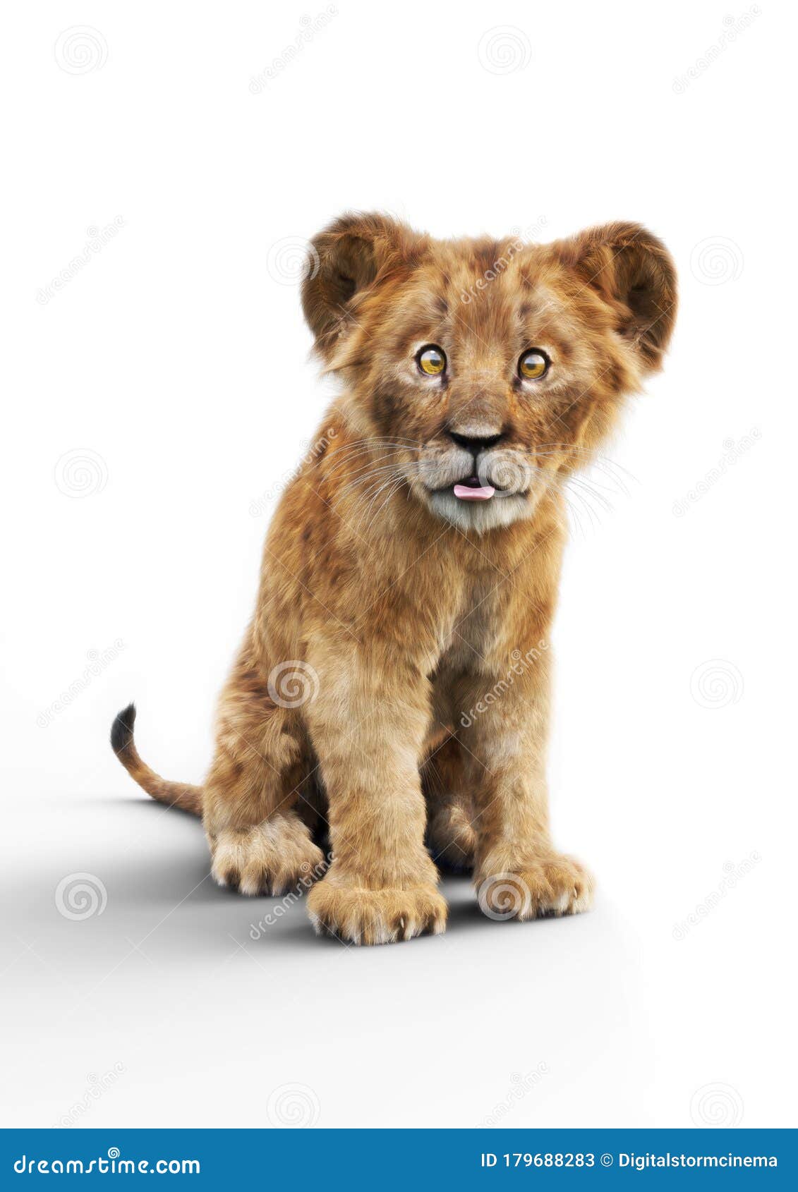 Portrait of a Adorable Lion Cub Sticking His Tongue Out on a White ...