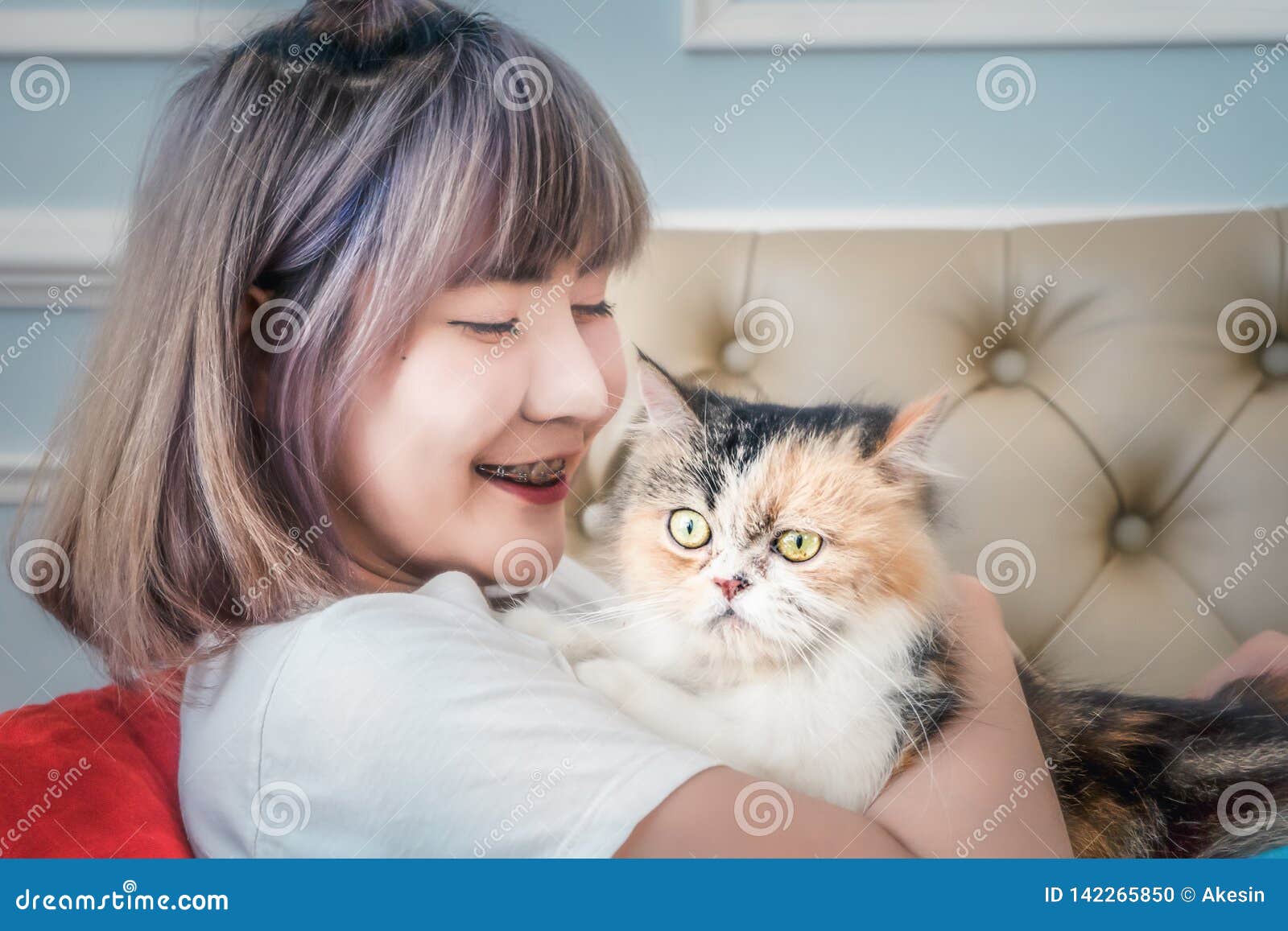 Asian female with cute cat stock photo. Image of adult - 142265850