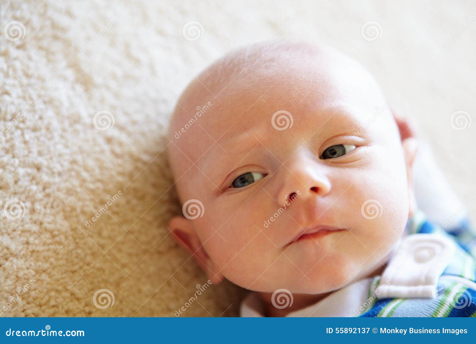 Portrait Bebe Age De 7 Semaines Image Stock Image Du Cheri Copie Portrait Bebe Age De 7 Semaines Image Stock Image Du Cheri Copie