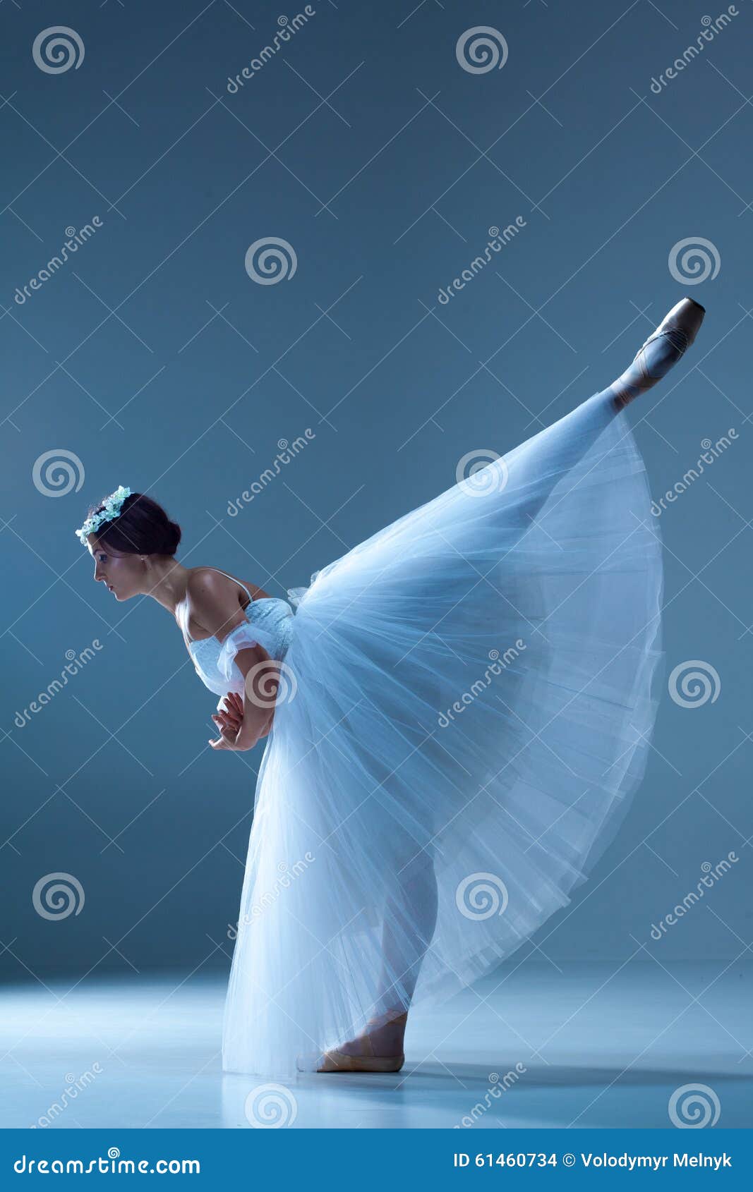 Portrait of the Ballerina on Blue Background Stock Photo - Image of ...