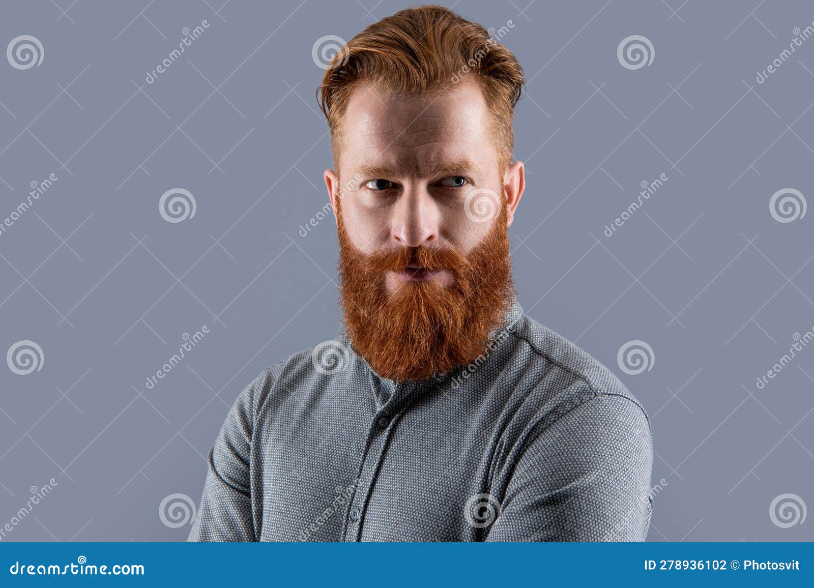 Portrait of Bearded Man. Irish Man with Unshaven Face Stock Photo ...