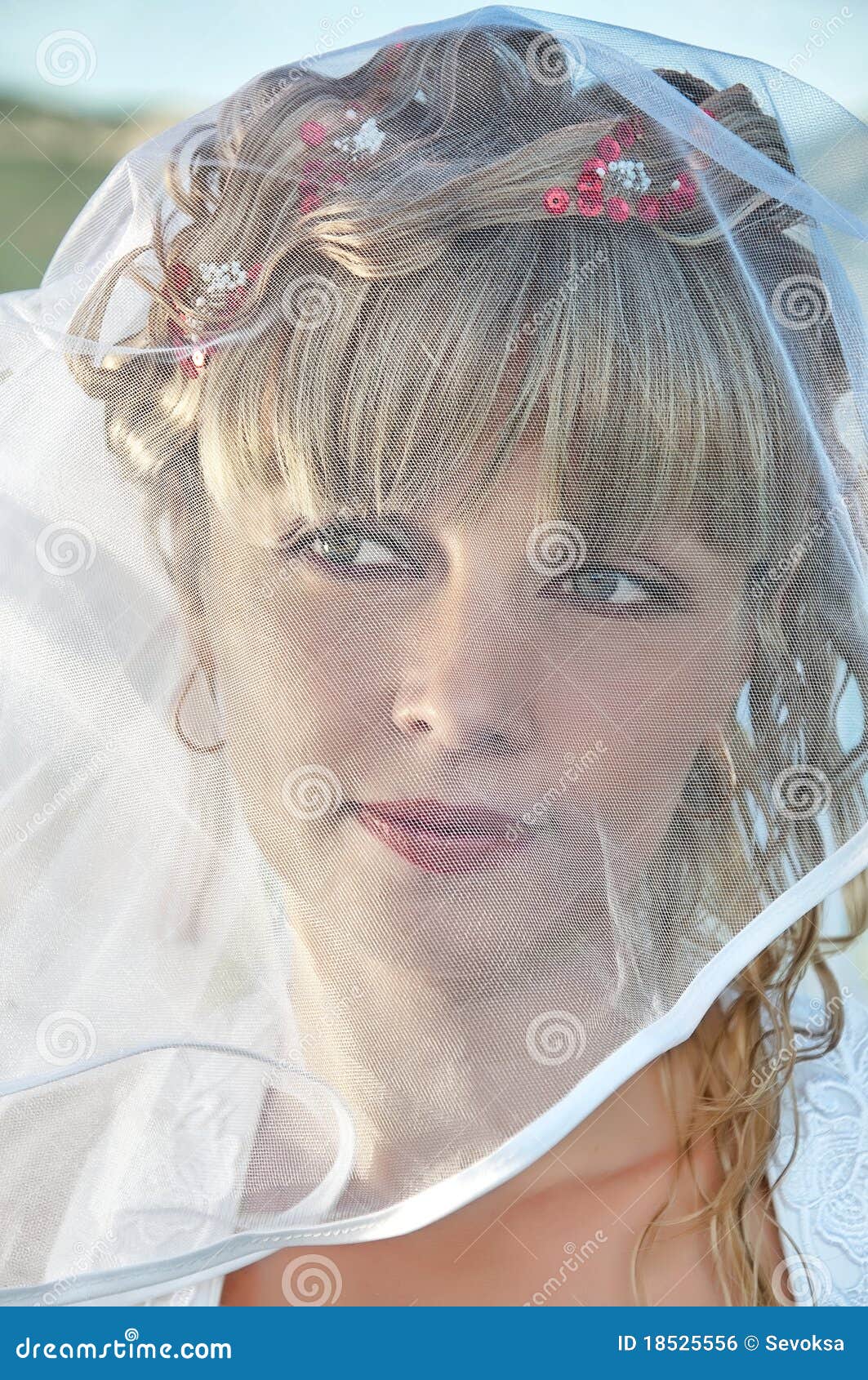 Portrait Of A Beautiful Bride With Veil Stock Photo 