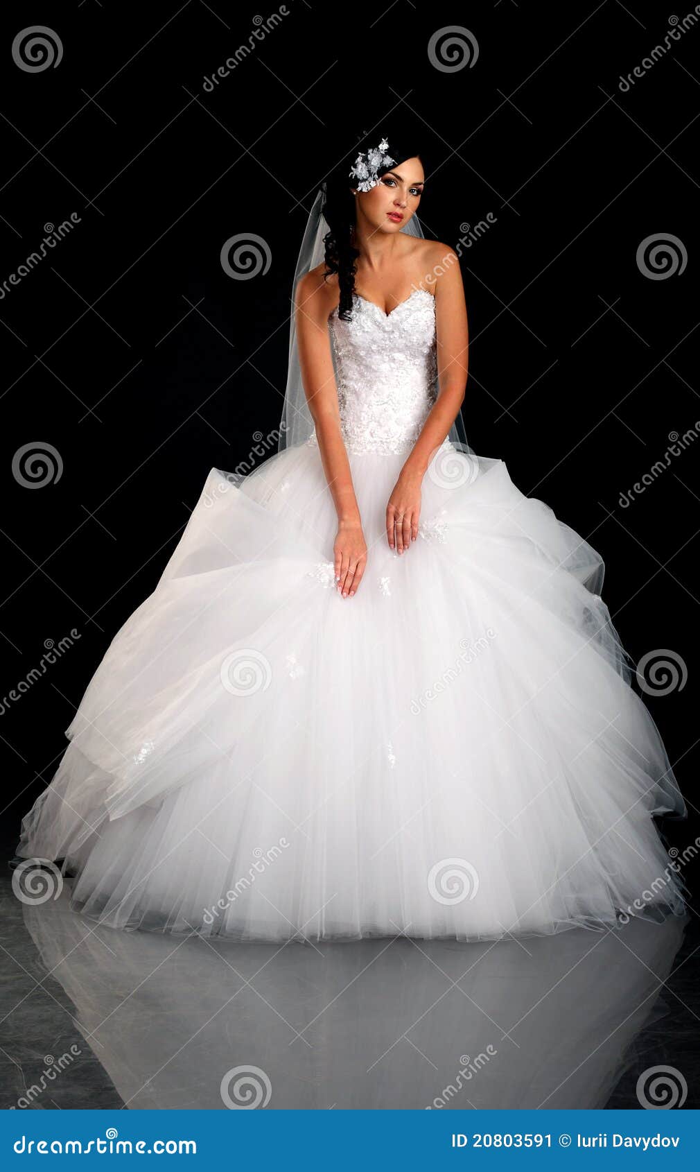 Portrait Of The Beautiful Bride In Wedding Dress Stock 