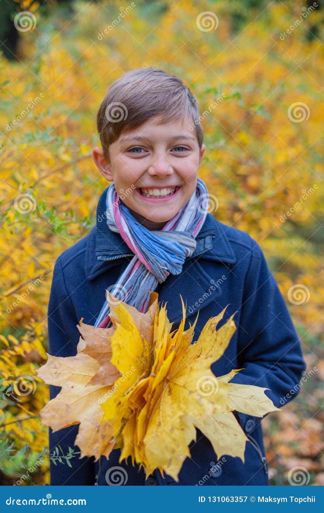 Portrait of Beautiful Child Boy in the Autumn Nature Stock Image