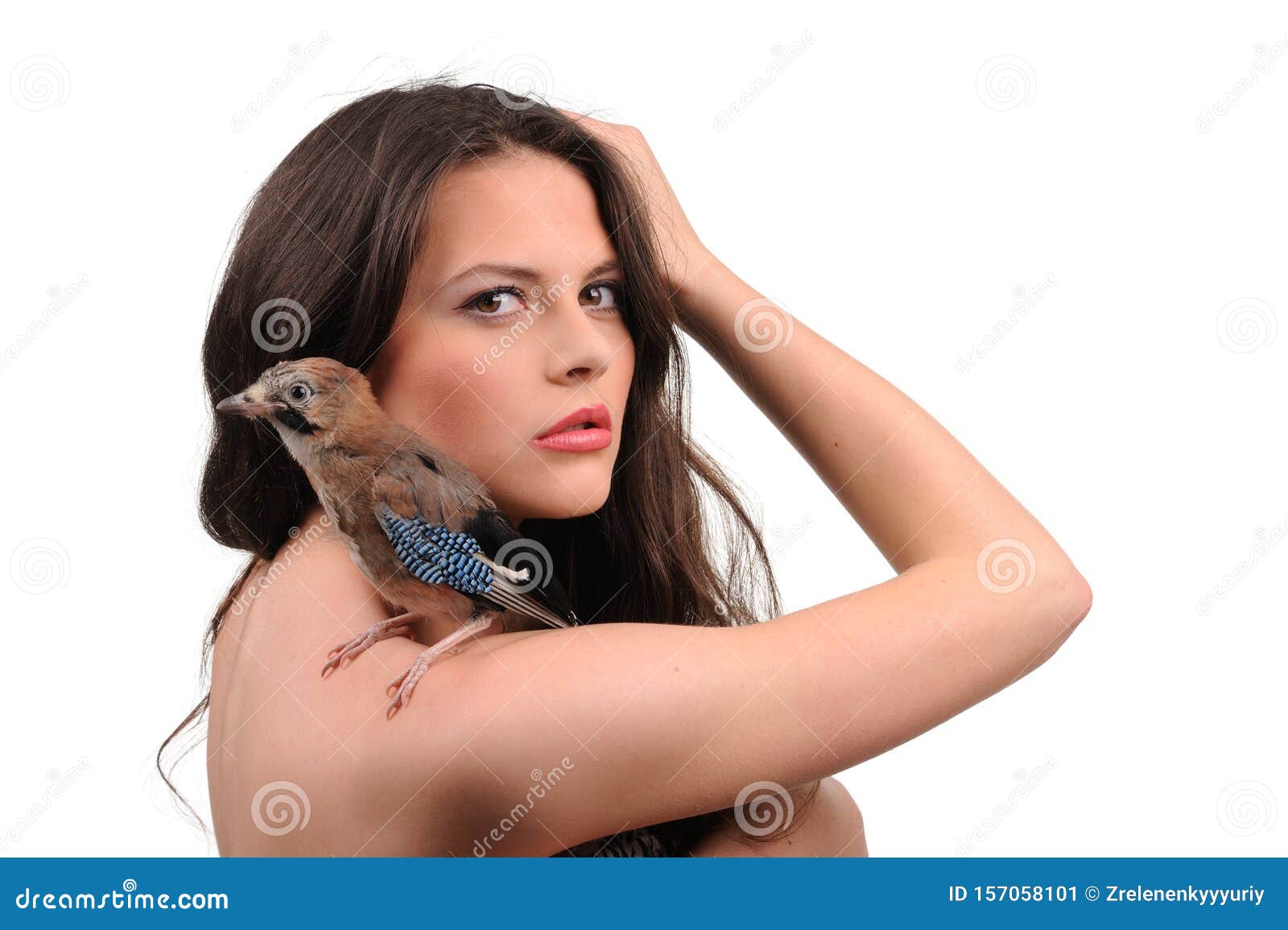 3,634 Sexy Animal Girl Stock Photos - Free & Royalty-Free Stock Photos from  Dreamstime