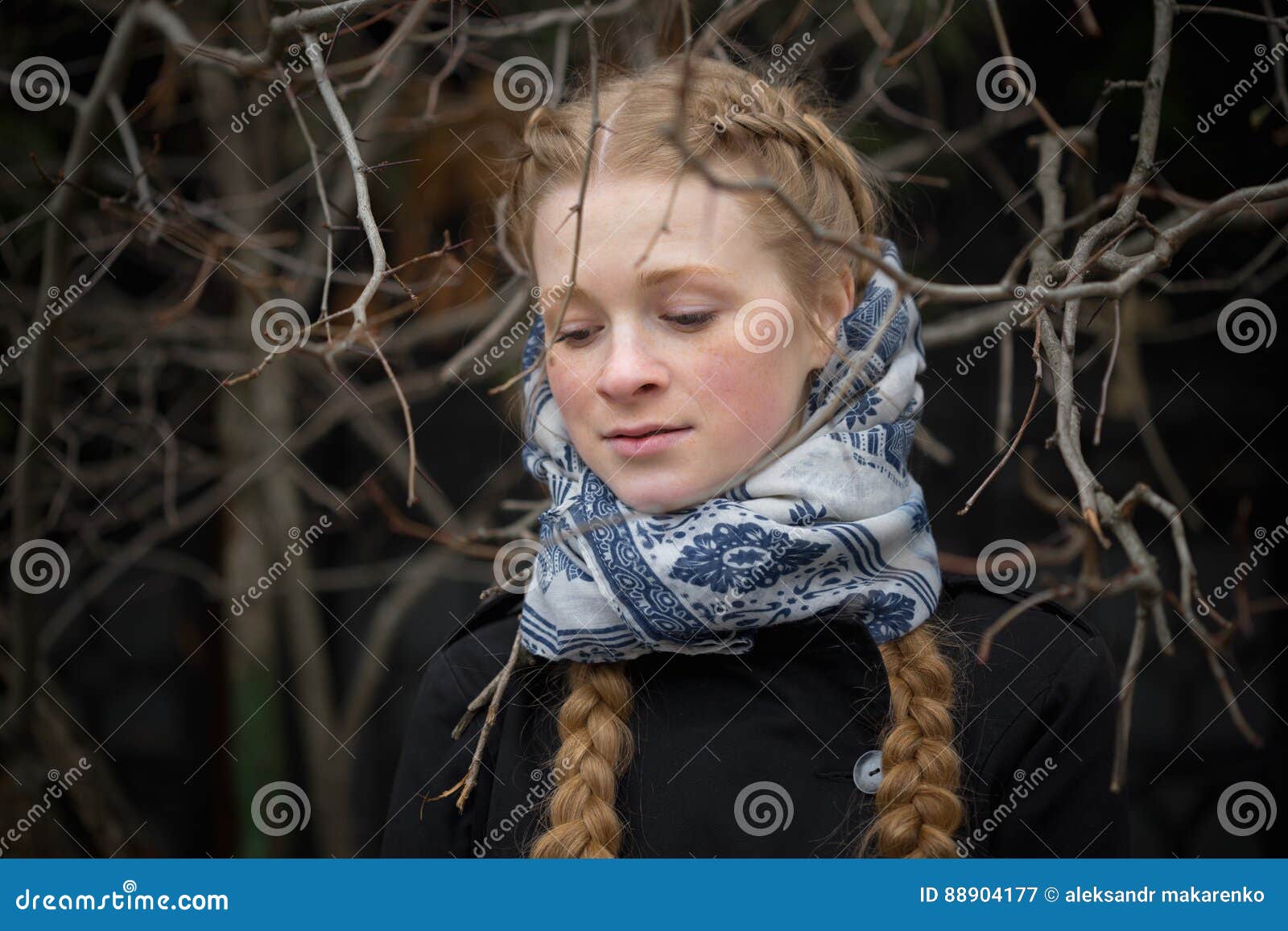 Portrait of a Beautiful Girl in the Bush Outdoors Stock Image - Image ...