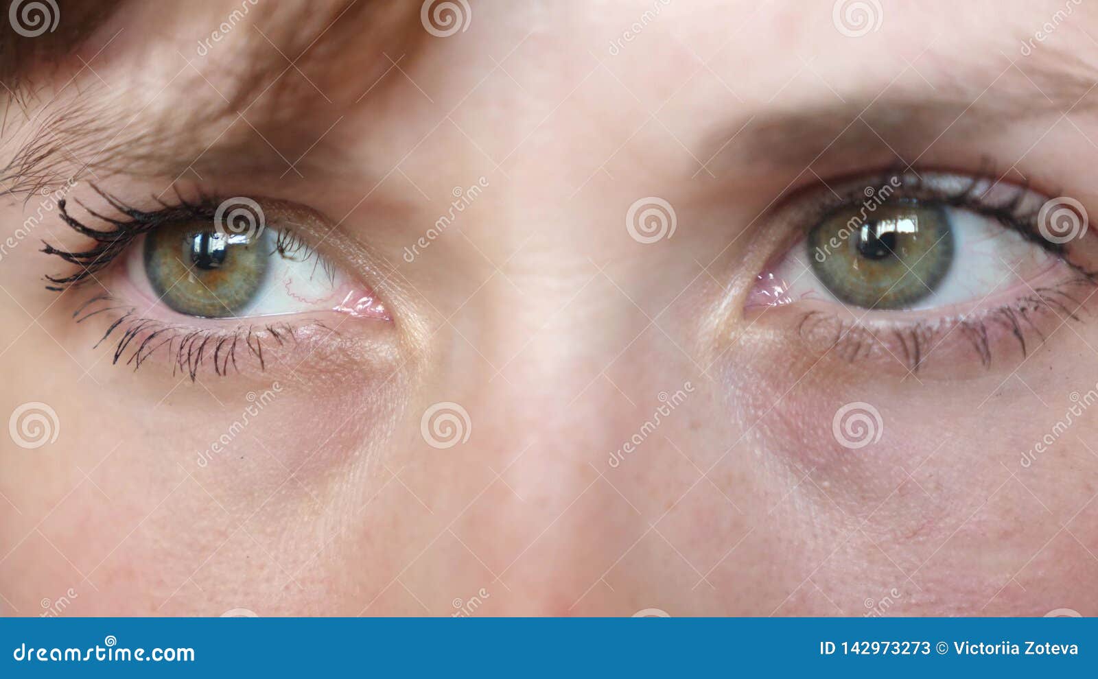 Portrait of Beautiful Gray-green Eyes of a Young Beautiful Woman ...