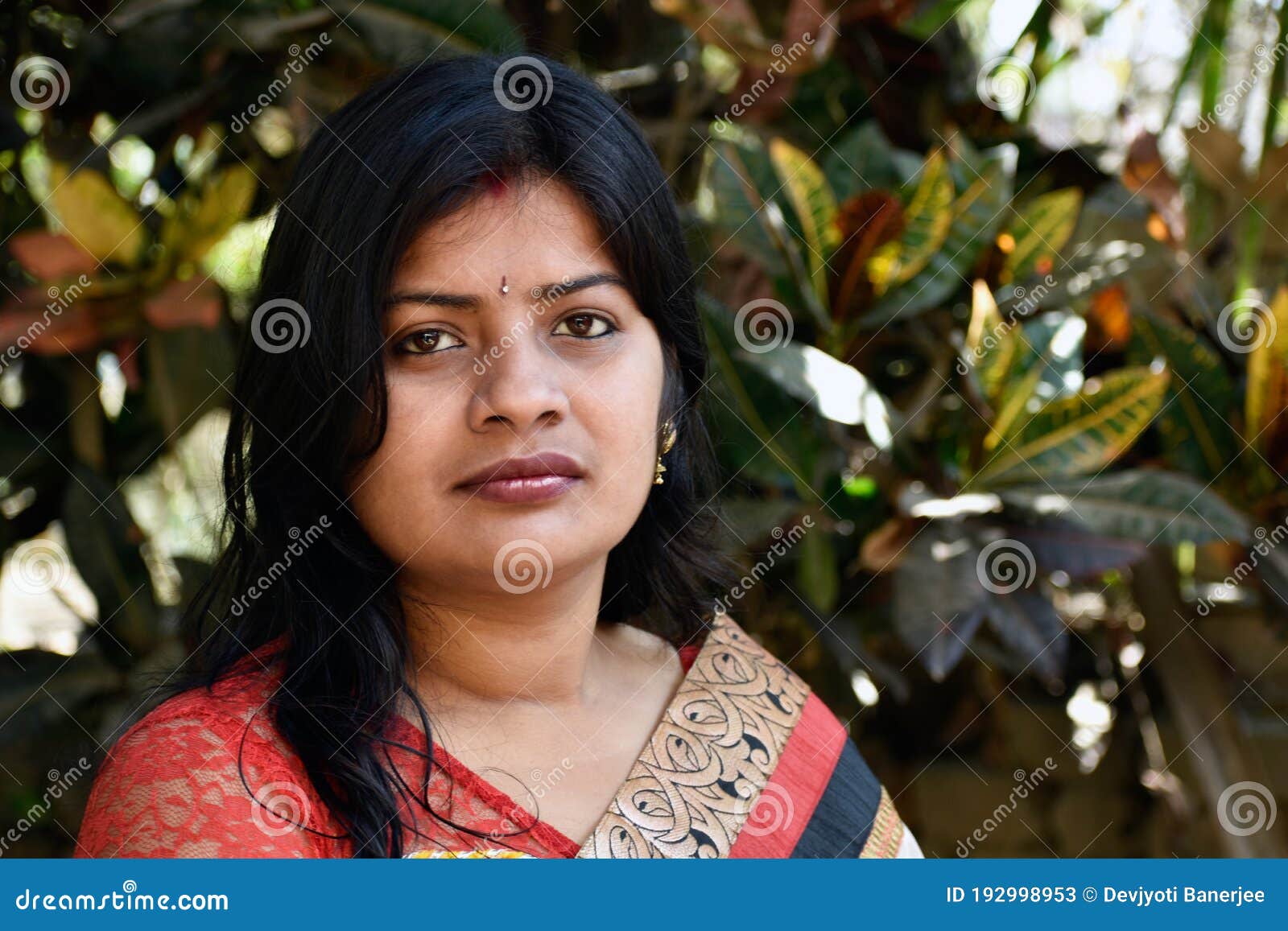 The Indian Housewife in the Casual Clothing on a Forest Backgroud Stock  Image - Image of dress, elegance: 192998953