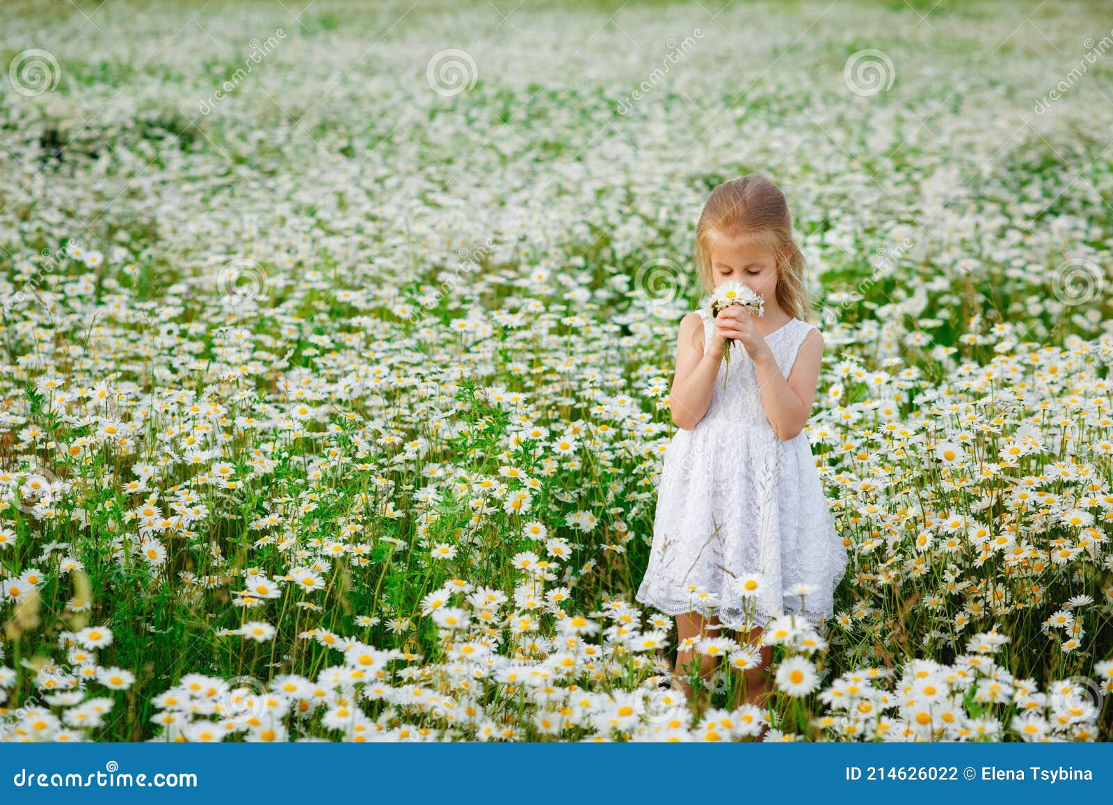 Meadows Lupin Dress
