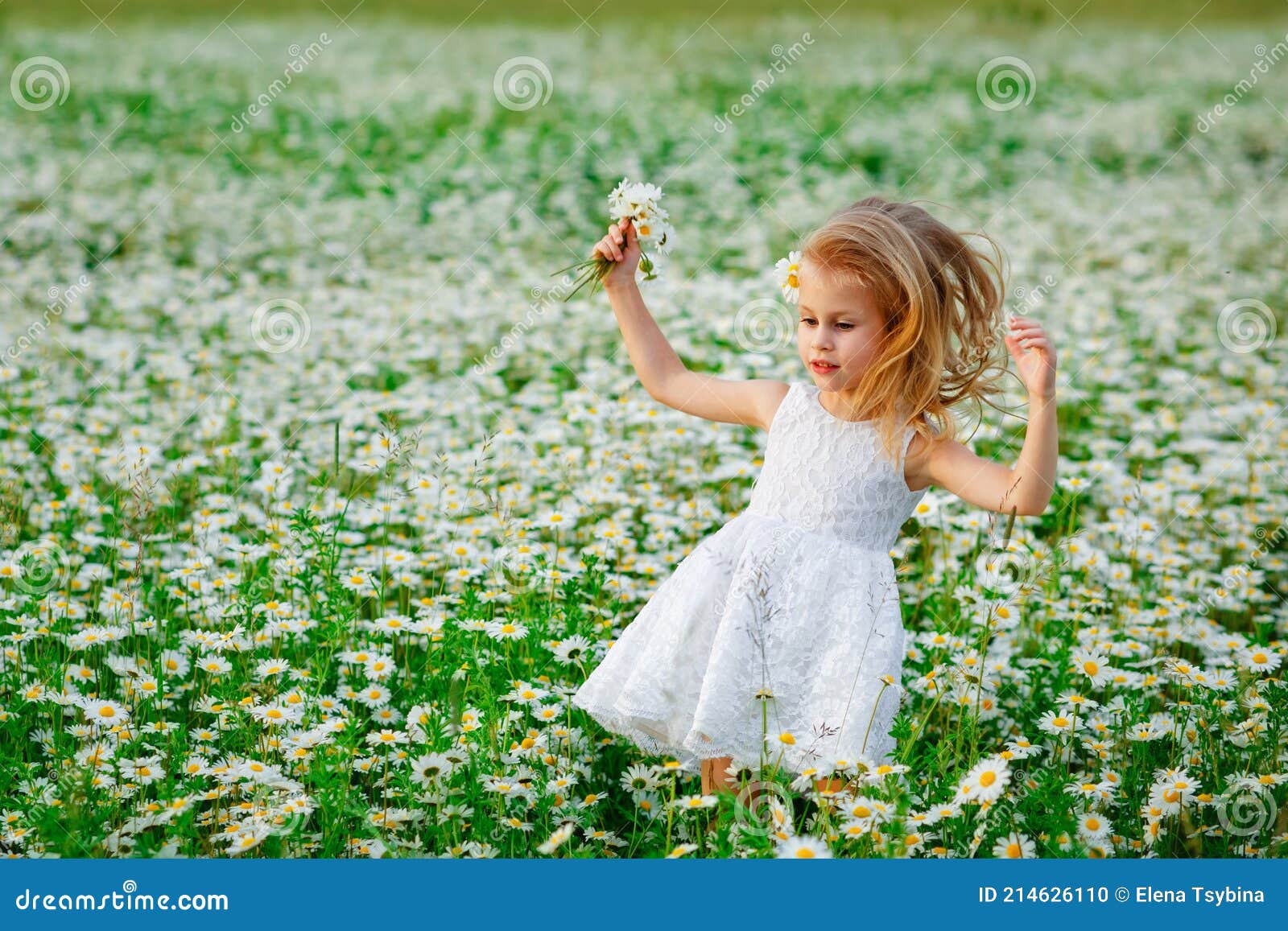 Meadows Lupin Dress 