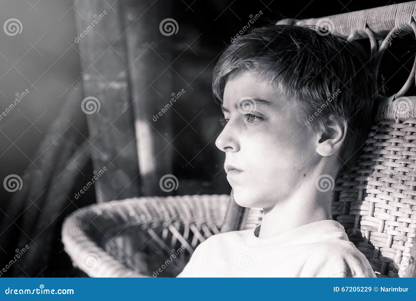 Portrait of a Beautiful Teenage Boy Stock Image - Image of cool ...