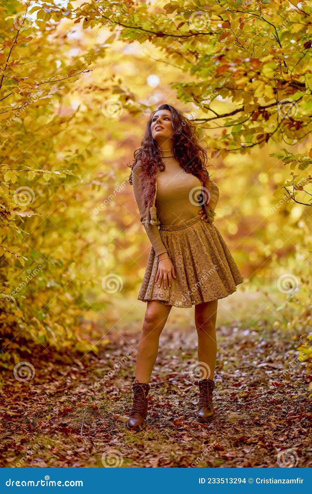 Portrait of a Beautiful Woman in the Woods Stock Photo - Image of ...