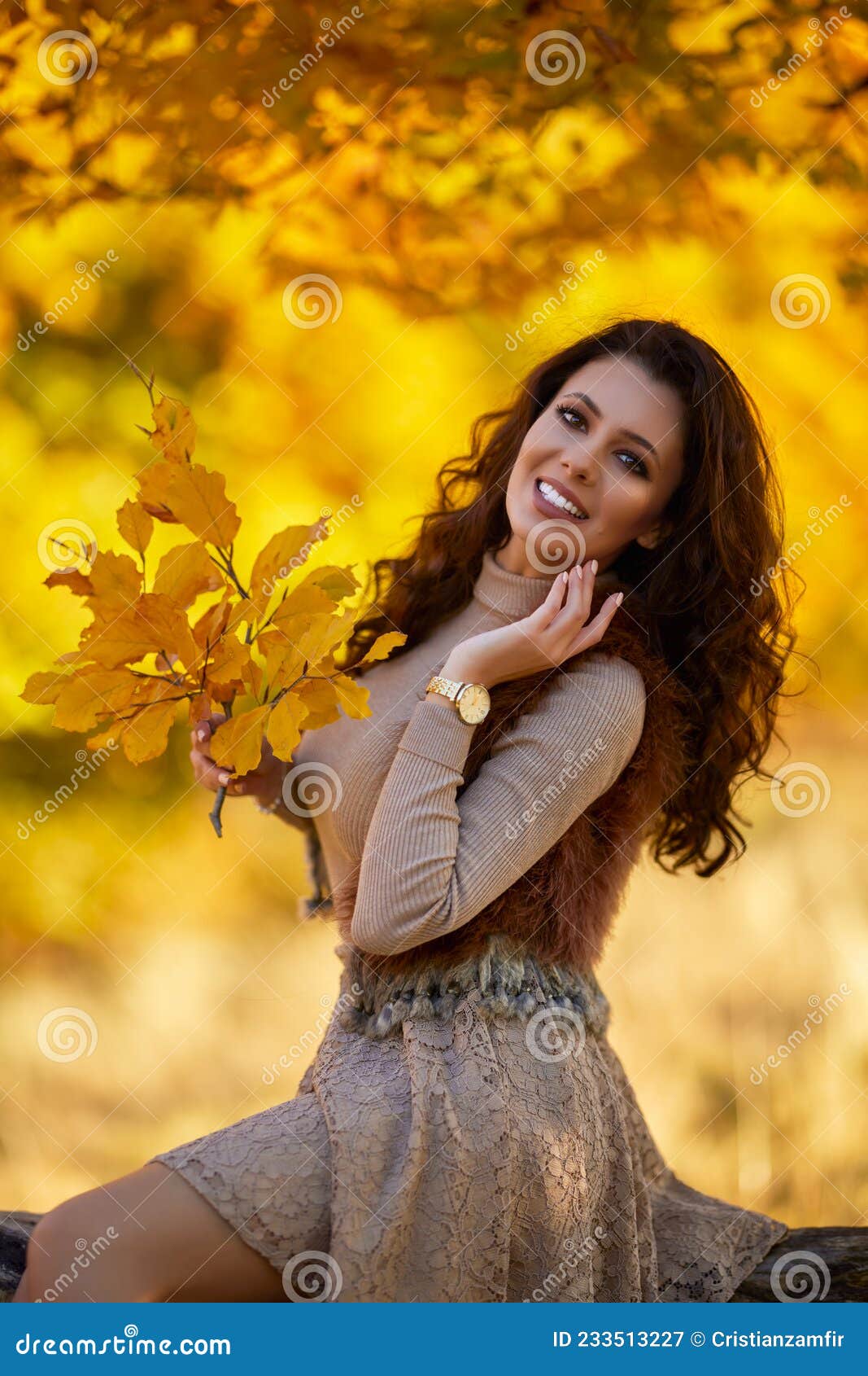 Portrait of a Beautiful Woman in the Woods Stock Image - Image of ...