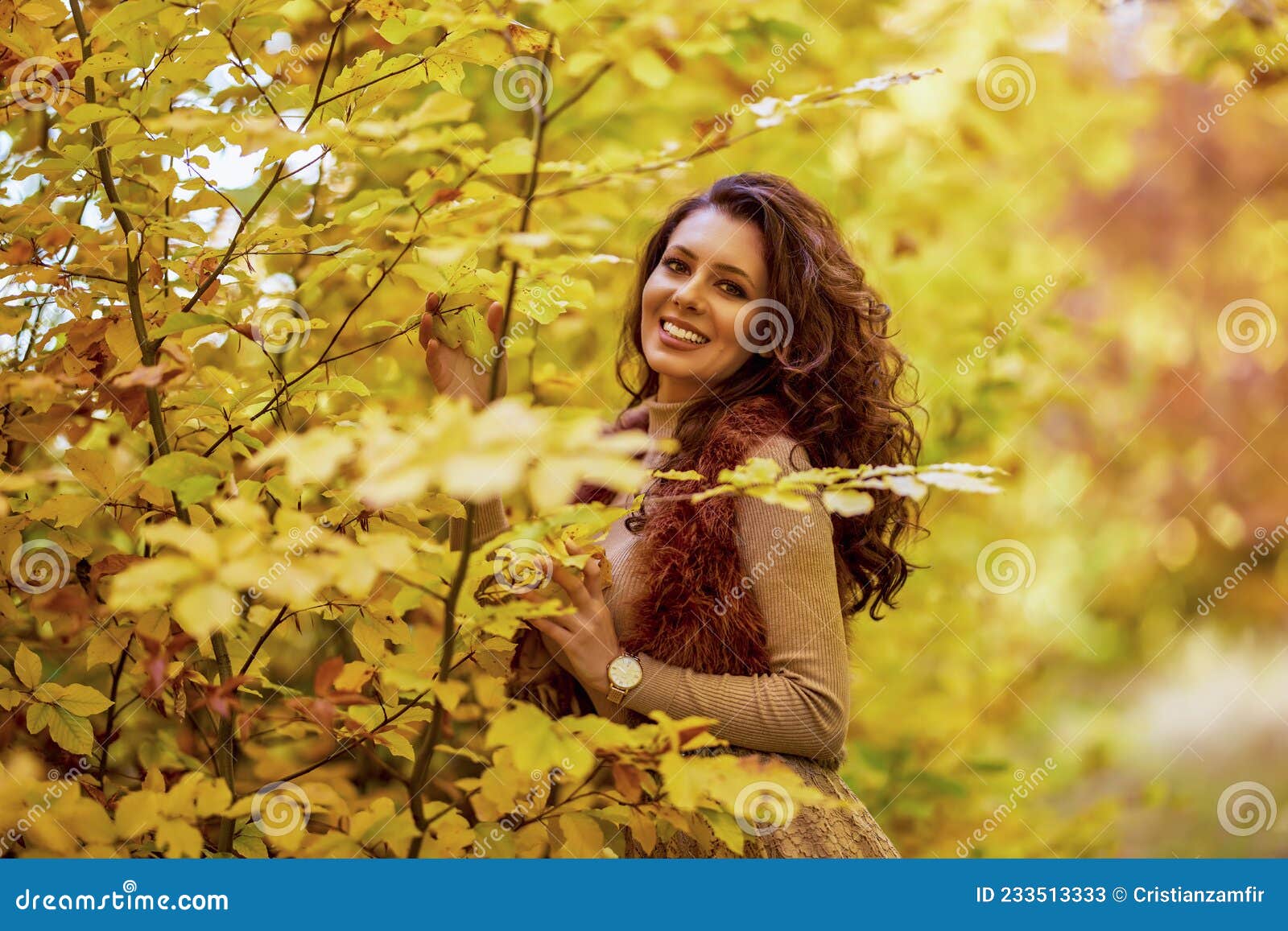 Portrait of a Beautiful Woman in the Woods Stock Image - Image of ...