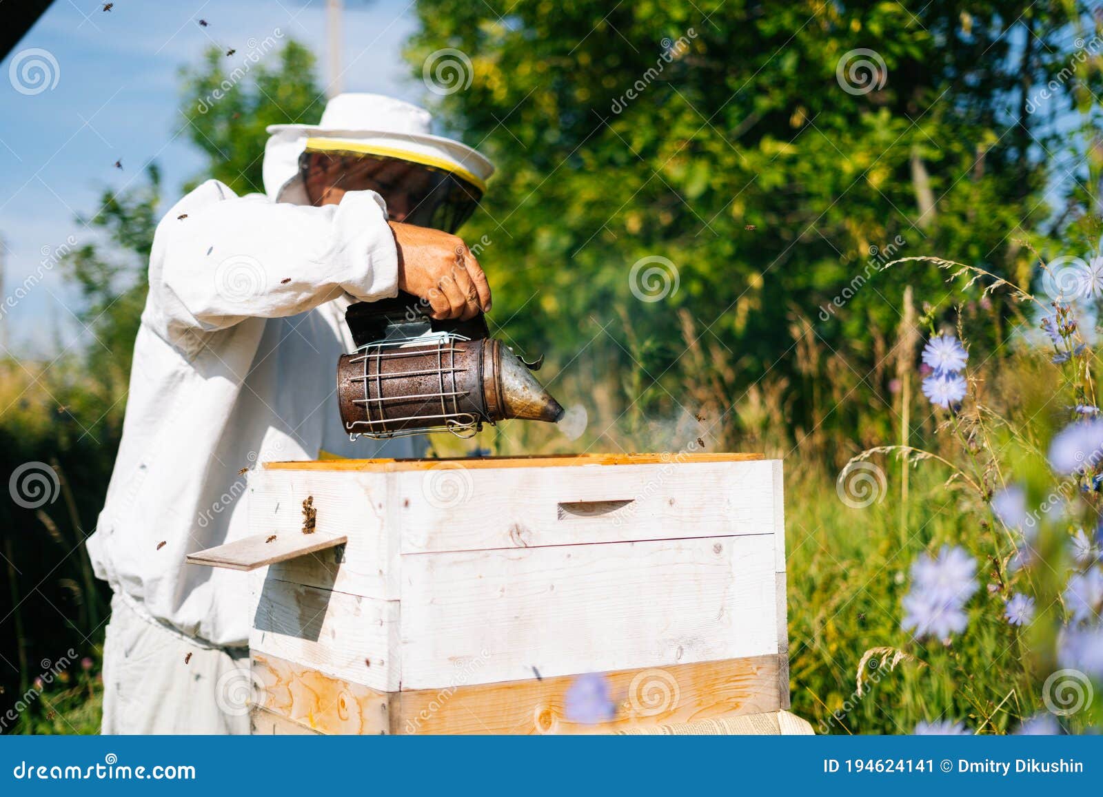 Beekeepers In White Protective Suit Holding Bees And Beeswax In