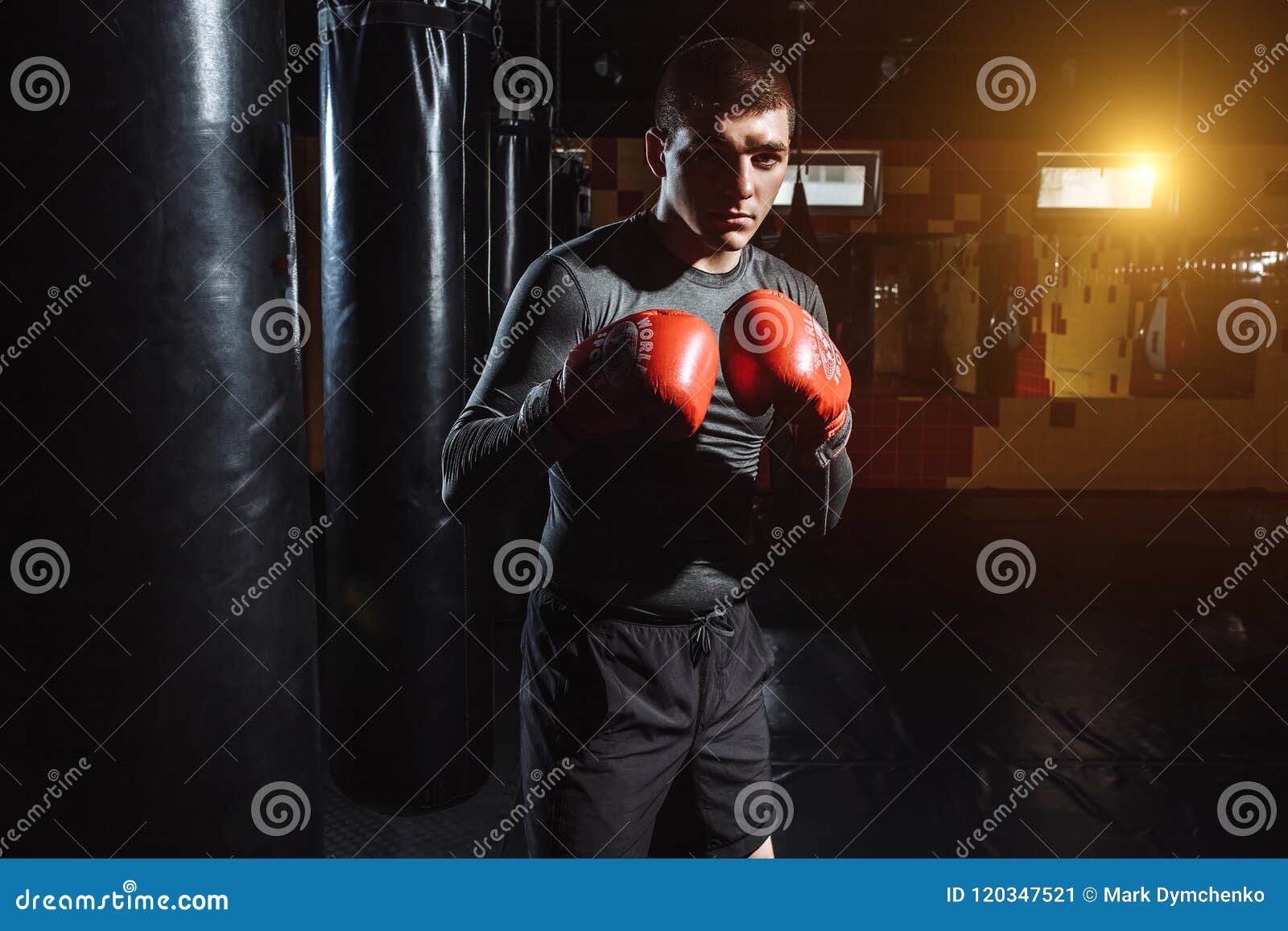 Portrait of a Boxer in the Gym, a Man Looks Aggressive Stock Image