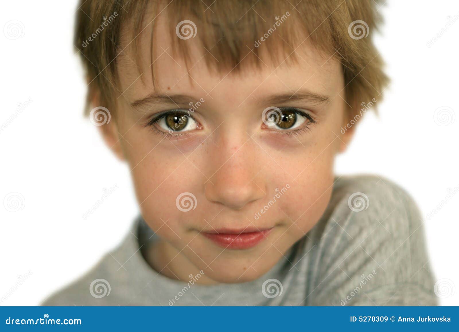 Portrait of Boy with Brown Eyes Stock Image Image of adorable, cute