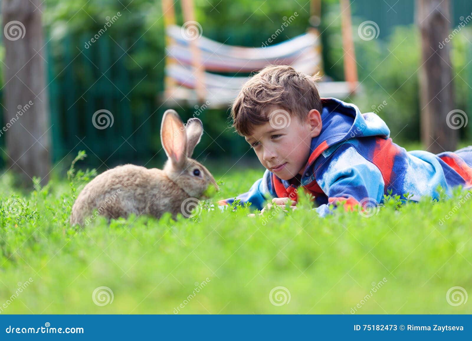Portrait of a Boy, he is Holding Rabbit Stock Image - Image of domestic